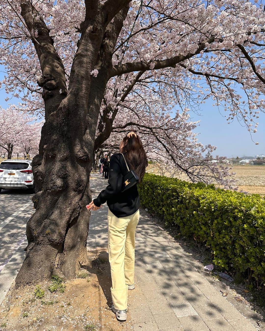 アリスさんのインスタグラム写真 - (アリスInstagram)「벚꽃을 보는데 벚꽃만을 보려고 어딜 온 적이 있었나 싶었다. 걷는 내내 기분이 너무 좋았다. 내년에도 올 테다. 🕶️🌸」4月3日 11時01分 - hv_alice