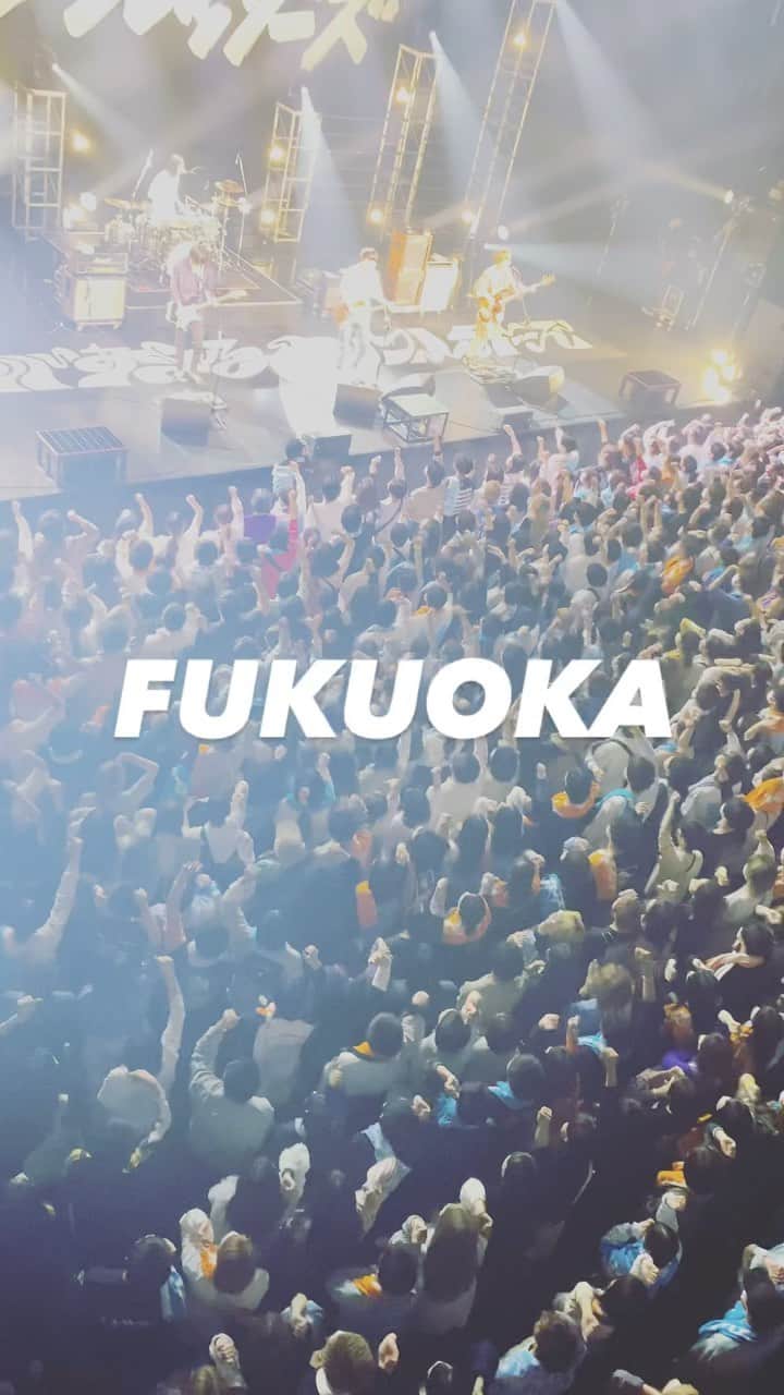 のインスタグラム：「2023.03.25 #ハンブレッダーズ  #ヤバすぎるワンマンツアー Zepp Fukuoka  #ハンブレ #ライブハウス #ヤバすぎる #live #livehouse」