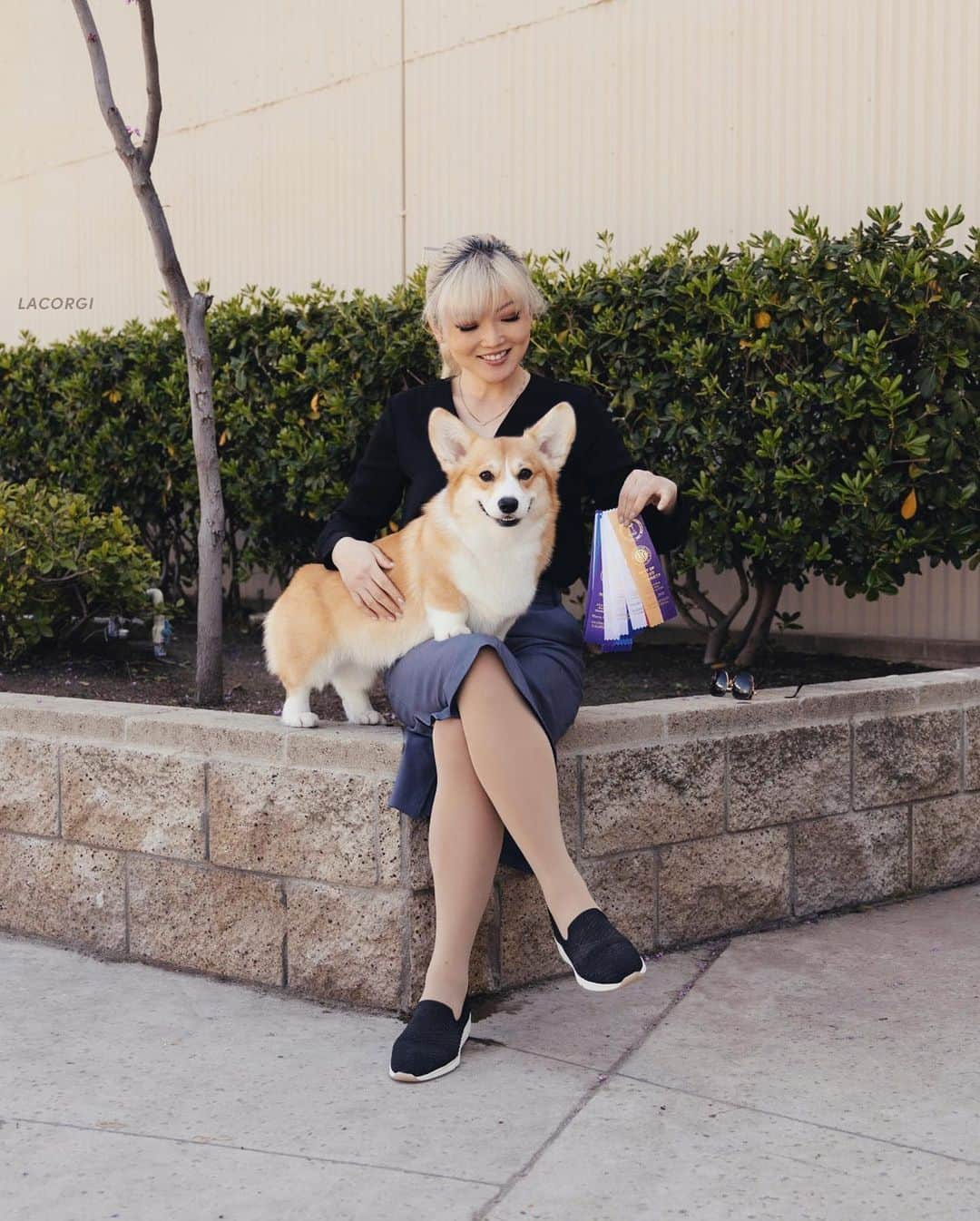 Geordi La Corgiのインスタグラム：「Agatha and I had an incredible time at the Bakersfield show! This was just our second weekend out together, and we had a clean sweep, going ✨Winners Bitch✨ all 4 days. Plus, she was Best Opposite on Friday AND Best of Breed over multiple champions on Saturday. 🏆 Over just 4 days, she earned 12 CH points (you need 15 points total for an AKC championship). Swipe to see the ridiculous number of ribbons she earned – GOOD GIRL AGGY!   Special thanks to our friends Bill and Susan for helping show her during Best of Breed while I handled Scotty! It really takes a village and I'm so thankful to have such a supportive community.」