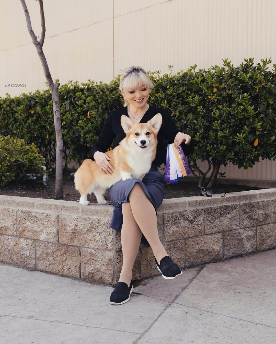 Geordi La Corgiのインスタグラム