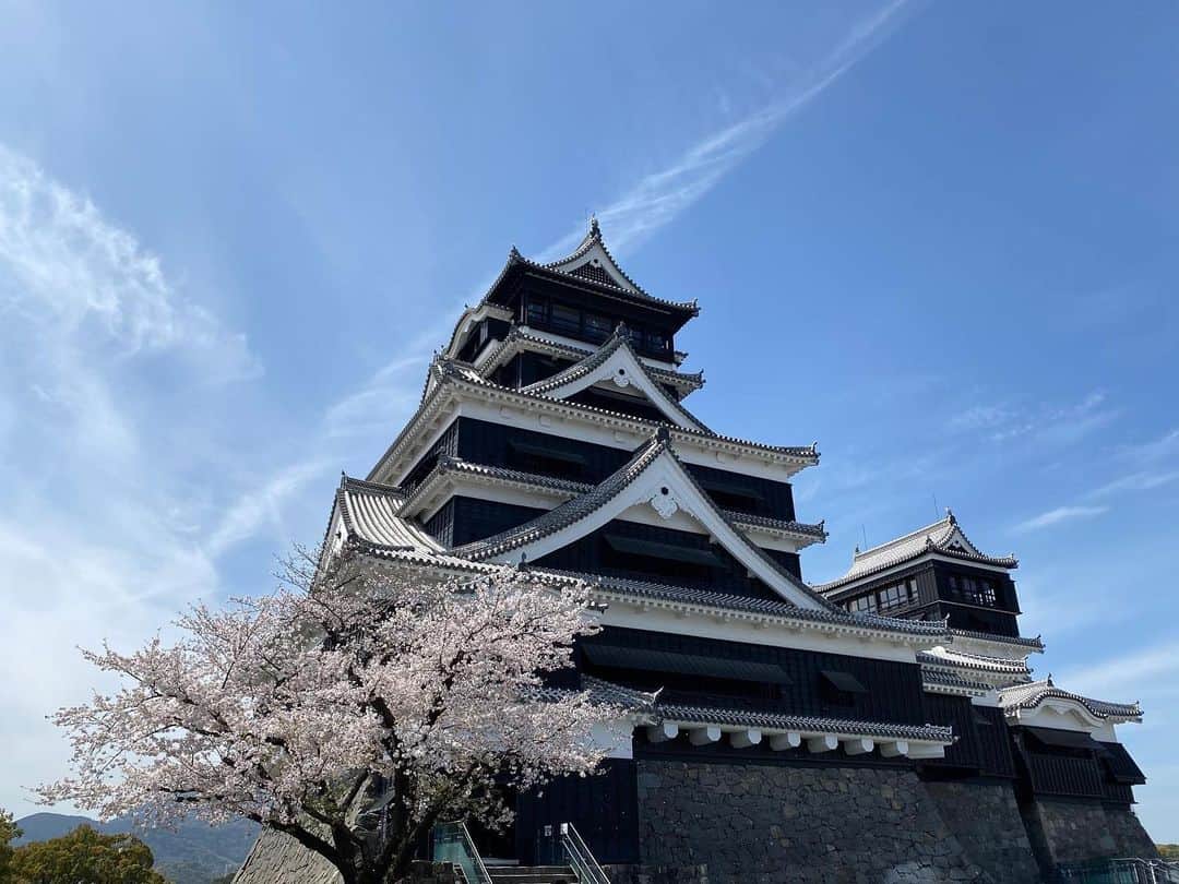 熊本城のインスタグラム：「新年度一発目は、天守閣と桜。 桜吹雪も体験できます。 ※桜の状況によります。  さて、いよいよ新年度です。 新しい環境でも「自分らしく」いきましょう。  みなさんのお越しを熊本城でお待ちしています。  #kumamoto #japan #japantrip #instagood #instagram #kumamotocastle #日本 #熊本 #熊本城 #城 #castle #加藤清正 #日本100名城 #熊本観光 #観光 #trip #cooljapan #桜 #新年度 #一緒に頑張りましょう #桜 #sakura #cherryblossom #blossom #flower #桜吹雪 #熊本城でお待ちしています」