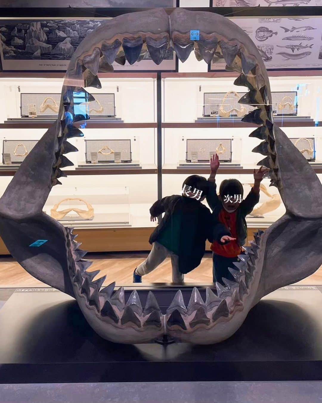 小池真友さんのインスタグラム写真 - (小池真友Instagram)「2/15 長男7歳誕生日🎂🎈  海の生き物とジョーズ🦈にハマっていた長男の誕生日に #アクアワールド大洗 に行ってきたよー！ 日本一サメがいる水族館らしく終始大興奮だった🥺 お土産はサメの歯🦷笑  最近は中間反抗期に突入してとんでもなく荒れる日もあるけど、基本的に真面目で優しい性格。 生まれてもう7年なのかぁ🤔 4月から2年生なんて早いよなぁー😫  #水族館 #サメ #こどものいる暮らし #7歳男の子 #男の子兄弟 #2歳差育児 #7歳誕生日」4月3日 11時52分 - koikemayu_