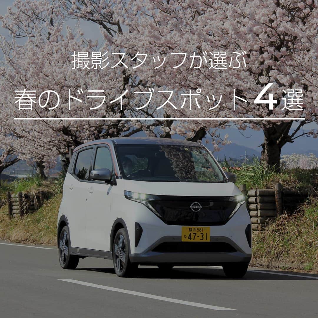 日産自動車のインスタグラム：「【春のドライブスポット🌸】 見頃の桜や、お花畑など今の季節に楽しめる関東のドライブスポットをご紹介🚗 みなさまお気に入りの春のドライブスポットがありましたら、ぜひコメントで教えてください♪  #日産サクラ #電気自動車 #EV #日産 #nissan #ニッサン #nissanjapan #5523」