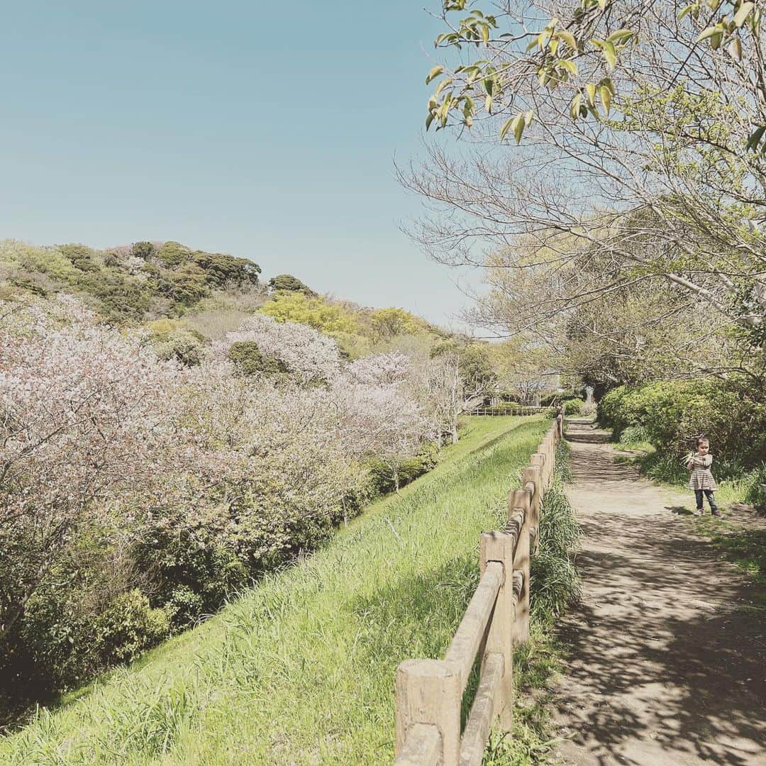 KIKIのインスタグラム：「山笑う週末🌸 でも帽子を被ったり木陰にピクニックシートを敷いたりしたものの たぶん娘も私も熱中症になった」