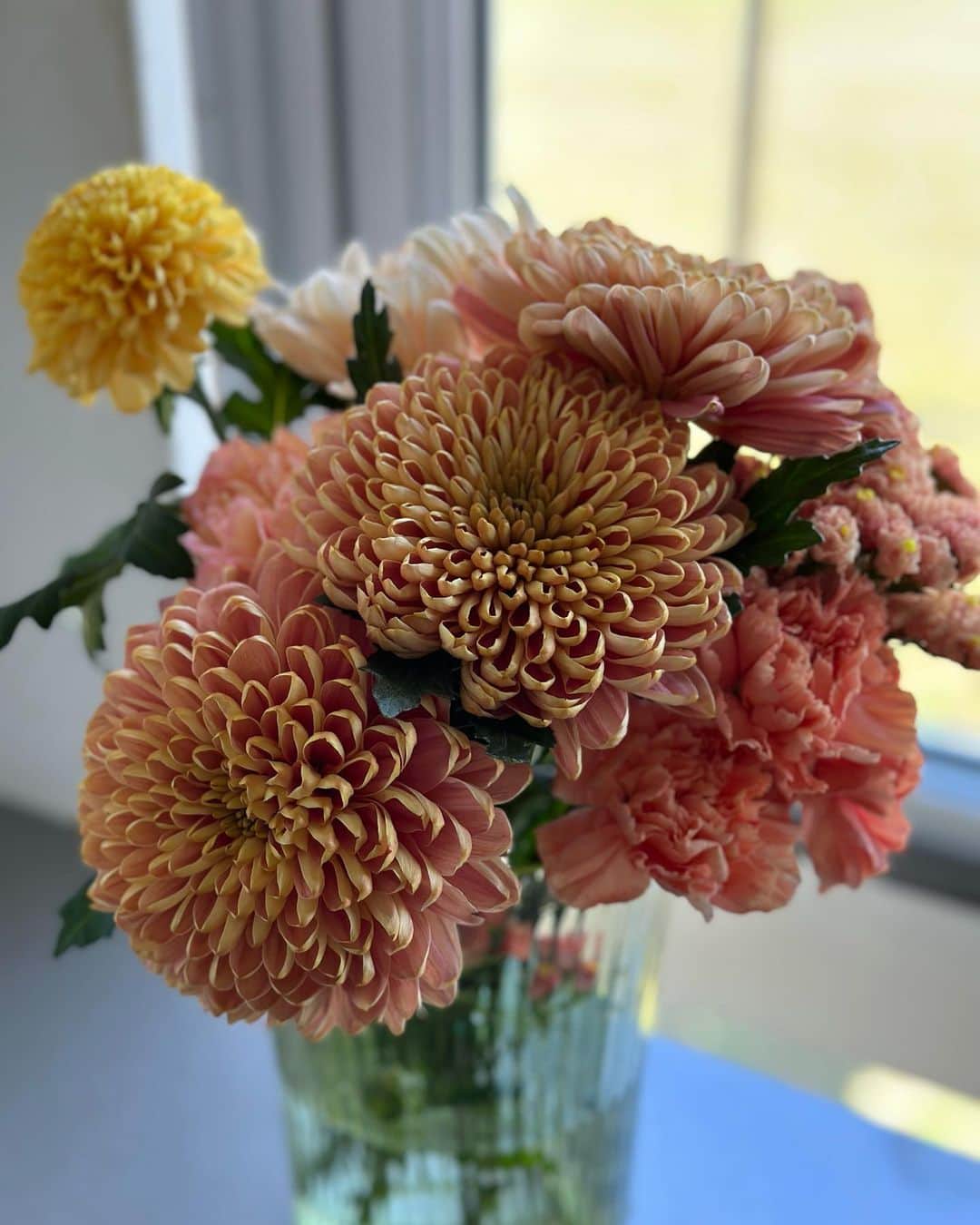二ノ宮知子さんのインスタグラム写真 - (二ノ宮知子Instagram)「花は好きだけど上手く飾れません。 うちの母は上手かったなあ。」4月3日 12時43分 - tomokoninomiyaa