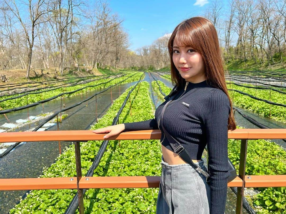 彩花ゆいのインスタグラム：「長野のわさび園  👚 @miumiu  👖 @stylings_official   #Nagano #長野 #wasabi #green #安曇野」