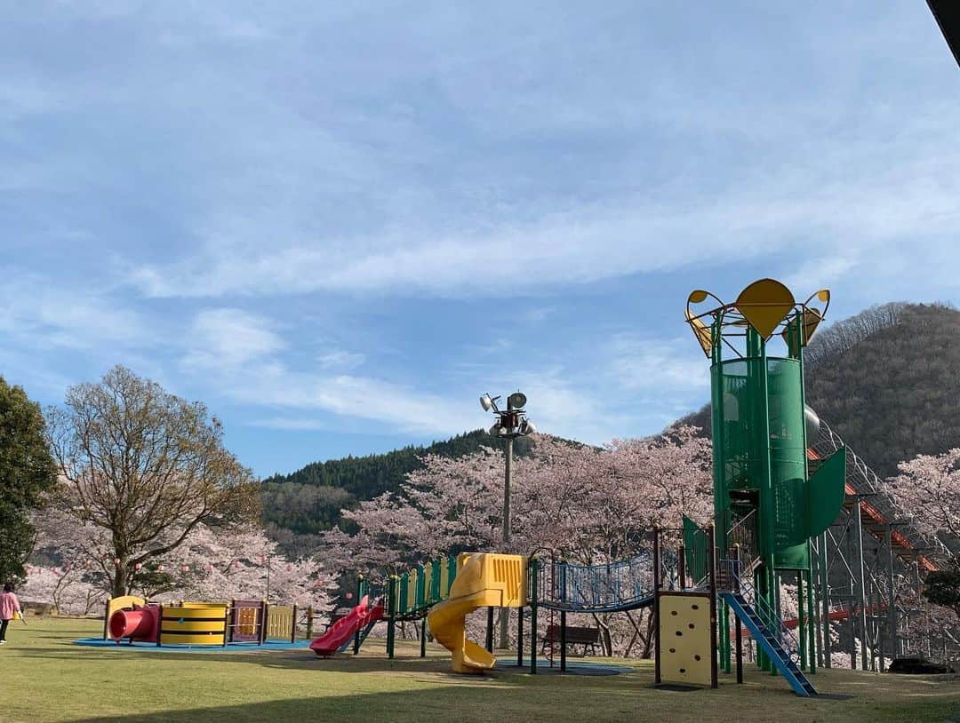 きよこさんのインスタグラム写真 - (きよこInstagram)「4/2(日) 佐用町桜まつり 笹ヶ丘公園・笹ヶ丘ドーム  🫧🤹大道芸チャーリー 🎶🪗タニケン・まいこ・きよこファミリーコンサート ． ． 🌸さくらさくら 桜まつり🌸  昨年夏に初めて訪れた佐用町。 美しい美しい町。 春にも訪れることができました。  ． これ以上ないほどのいいお天気の中、桜満開の丘の上に大勢の人たちが集まって。  地元の方々の素敵なステージが会場を盛り上げて。 4年ぶりという飲食店が連なる中をたくさんの笑顔が行き来して。  大道芸チャーリーさんの素晴らしいパフォーマンスに、夢中になって駆け寄ってきて歓声をあげるたくさんのこどもたち。  タニケンさんとまいこさんとのファミリーコンサートは、時間があっという間過ぎるほどに楽しかった。  チャーリーさんの繰り出す無数のシャボン玉の中でみんなで歌った歌声。 ドームの中が夢に包まれた瞬間をきっと忘れない。  あぁ。楽しかった。 花吹雪の桜まつり。 満開の桜の中こどもも大人も私たちも笑顔満開の一日。  .  みんなで声を出せることってこんなに楽しいことだったんだね。  たくさん歌って へんてこなことして笑って 元気に遊んで 楽しかった。本当に楽しかった。  ． ．  佐用町の人たちも ここに集まる人たちも なんでこんなにあたたかなんだろう。 穏やかな時間が流れる町。 幸せな黄色の町🟡  ． ． あそんでくれたこどもたち お会いしたみなさん お世話になった皆様 全て全てのみなさまに  ありがとうございました！  ． ． #谷本賢一郎 #タニケン #まいこ #チャーリー #きよこ  #佐用町 #桜まつり  #佐用町love  #タニケンさん観光大使1周年おめでとうございます👏👏  #5枚目の写真の私シャボン玉の中にいるの🤭🫧」4月3日 22時13分 - kiyoco_smily