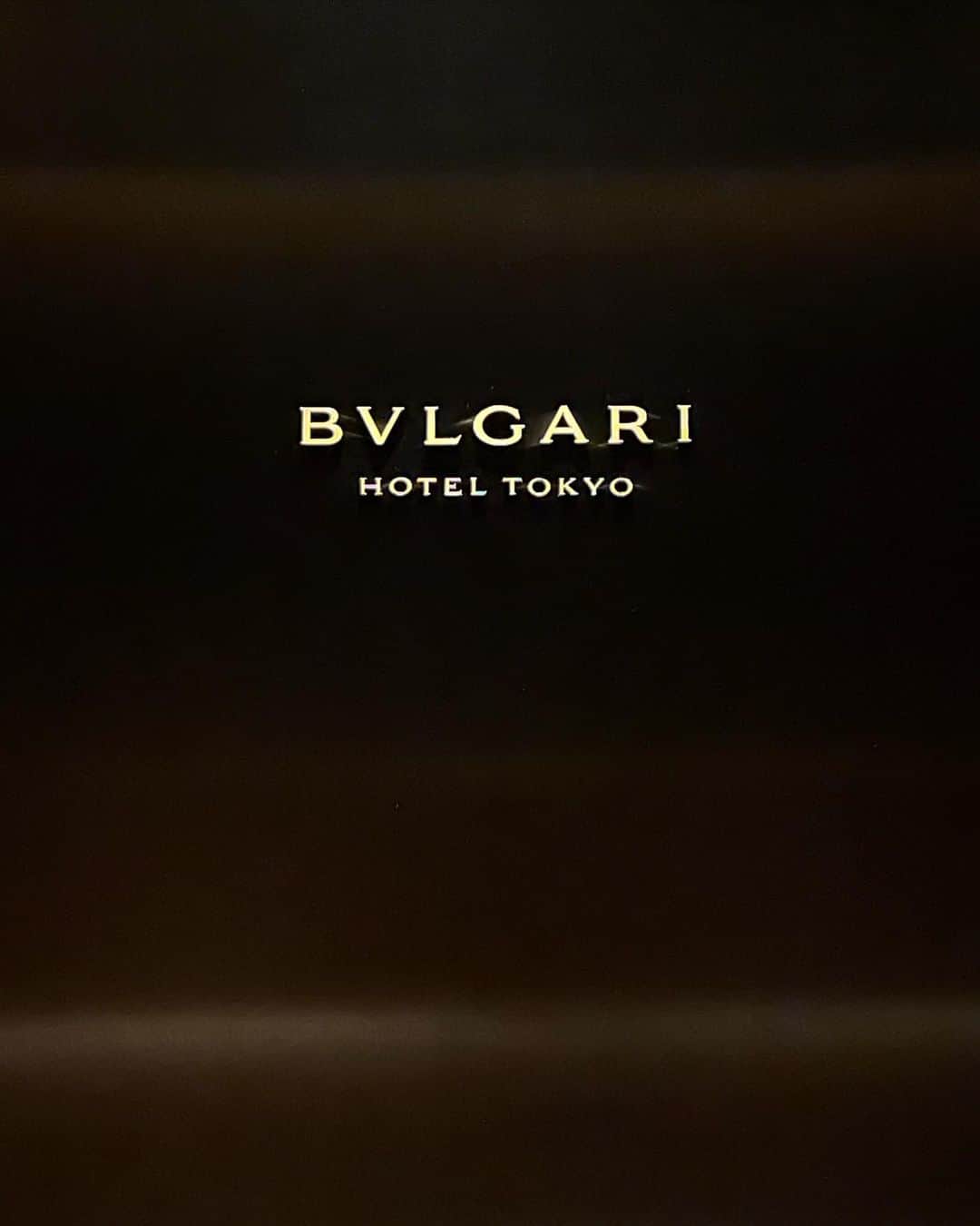 シェンさんのインスタグラム写真 - (シェンInstagram)「@bulgarihotels Tokyo🗼✨ オープニングパーティー🎉  #bulgari #bulgarihotels #bulgarihoteltokyo」4月3日 22時21分 - shenshenshenshen