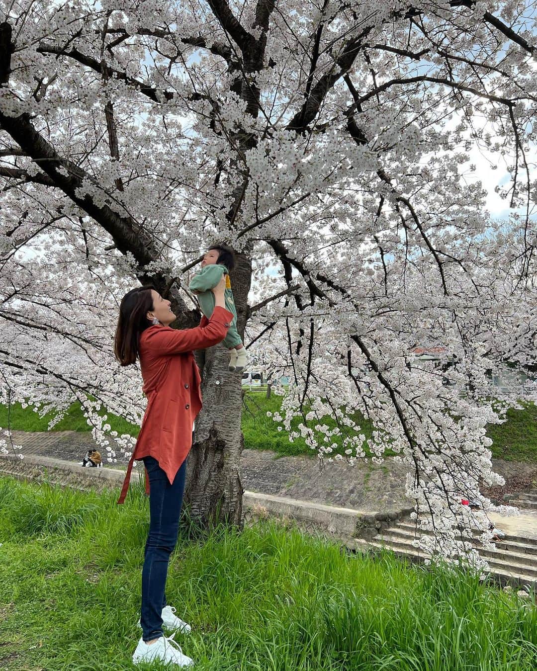 高橋麻美さんのインスタグラム写真 - (高橋麻美Instagram)「． ． さくら🌸  今年と去年🌳  大きくなったなぁ☺️  #桜#cherryblossom#Spring#春 #赤ちゃん#成長#baby#親子photo  #親子#親子コーデ #親子リンクコーデ」4月3日 22時23分 - charmy421