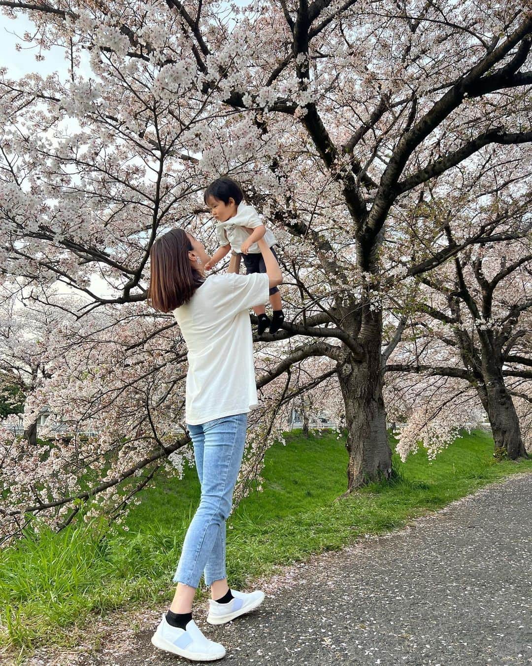 高橋麻美のインスタグラム：「． ． さくら🌸  今年と去年🌳  大きくなったなぁ☺️  #桜#cherryblossom#Spring#春 #赤ちゃん#成長#baby#親子photo  #親子#親子コーデ #親子リンクコーデ」