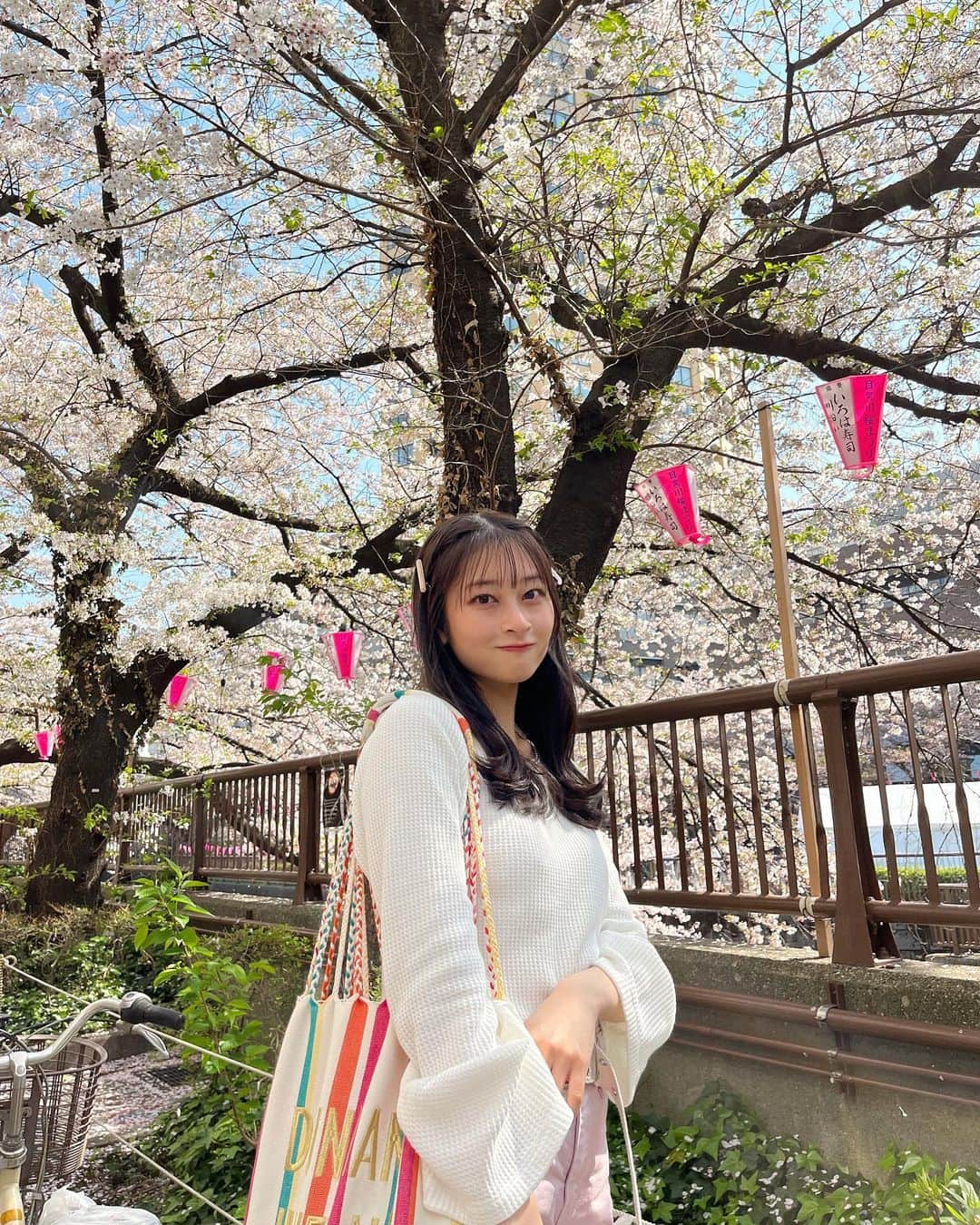 高井千帆さんのインスタグラム写真 - (高井千帆Instagram)「⁡ 目黒川で見たのは今年が初めてでした🌸🍃 ⁡ 新年度もいろんな景色みて 大きく深呼吸して楽しんでいこうね☺️💭 ⁡ 春服着れてるんるんな感じ出してますが まだ中にヒートテック着てるんだ…笑」4月3日 22時26分 - chiho_takai_official