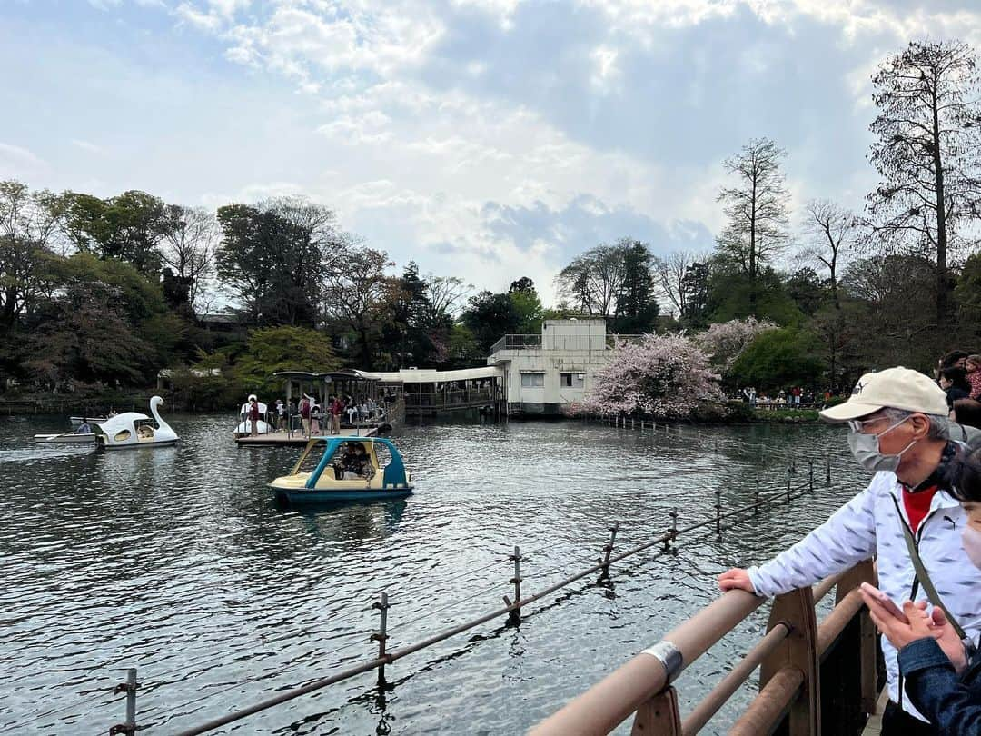 ひらのっちのインスタグラム：「井の頭公園✨まだギリお花見できた🌸久しぶりの友達と会えて楽しかったー😊 #井の頭公園 #井の頭公園の桜 #お花見 #花見 #吉祥寺 #お笑い #芸人 #バンドマン #ヴィジュアル系 #ヴィジュアル系バンド #V系 ＃V系好きな人と繋がりたい #お花見スポット #花見スポット」