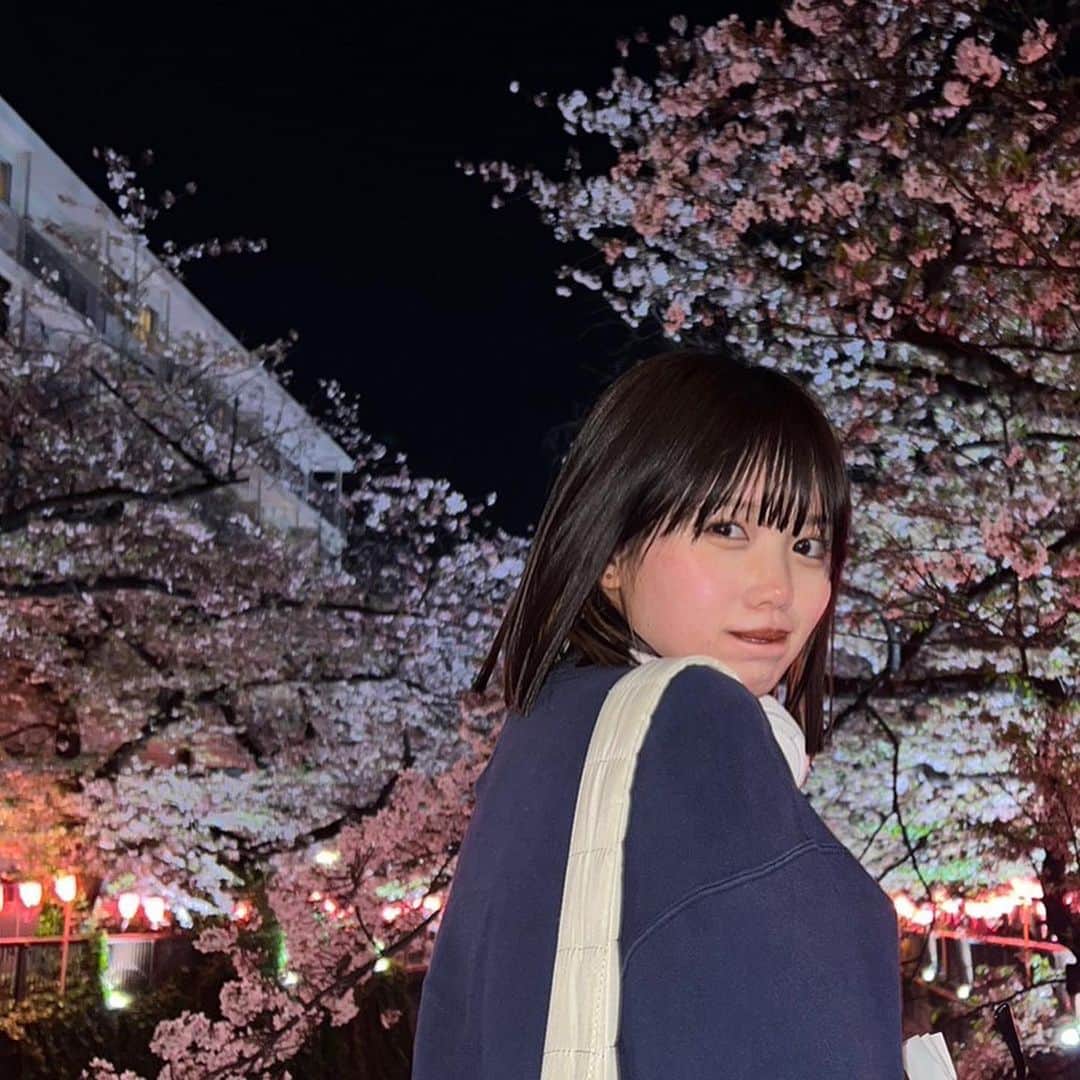 比嘉奈菜子さんのインスタグラム写真 - (比嘉奈菜子Instagram)「ギリギリ夜桜できた。 楽しかったなぁ。 皆さんはお花見できましたか？？」4月3日 22時40分 - higa_nanako