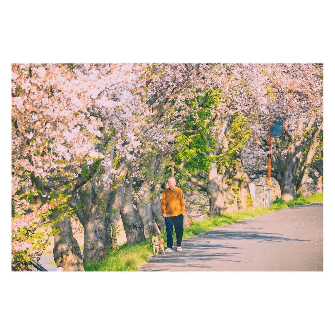yamatoのインスタグラム：「うきはsnap📸」