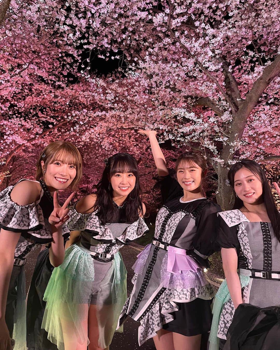 加藤夕夏さんのインスタグラム写真 - (加藤夕夏Instagram)「⁡ ⁡ #cdtv30周年sp  おめでとうございます！✨🤝 ⁡ そして観てくれた皆様 ありがとうございました🌸🌸🌸 ⁡ ⁡ ⁡ ⁡ こんな素敵な場所で歌えて幸せです。💗 群馬県、また来たい🌸 ⁡ 　 ⁡ #CDTV #NMB48 #僕らのユリイカ #AKB48 #ヘビーローテーション #お花見 #桜 #夜桜」4月3日 22時56分 - uuka_nmb
