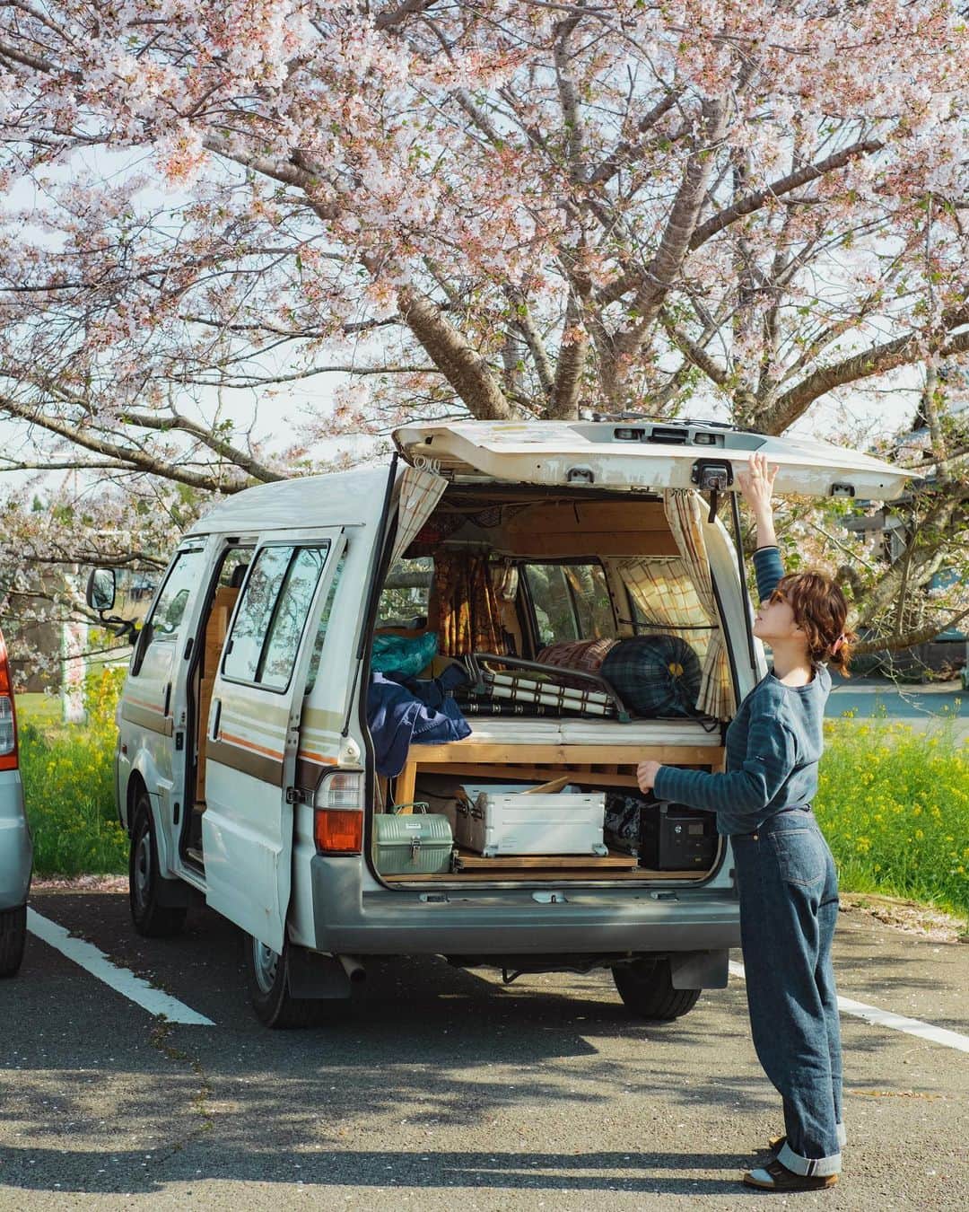 Y U R I Eのインスタグラム：「桜と菜の花🌸💛 次の長旅は四国一周か 桜前線追いかけて北上するか悩み中🙄  #SAKURA#さくら#春」