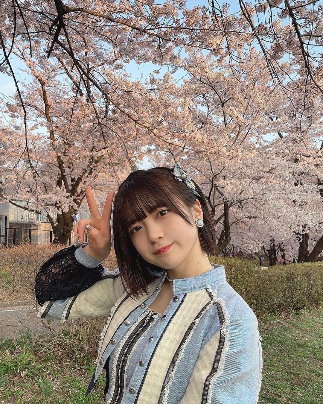 坂本真凛のインスタグラム：「#cdtvライブライブ でした！🌸 出演させて頂けてとても嬉しかったです！そして桜満開で綺麗で、、とても楽しい時間でした！桜とぱしゃり✌🏻 #花見スポット #赤城南面千本桜 #idol」