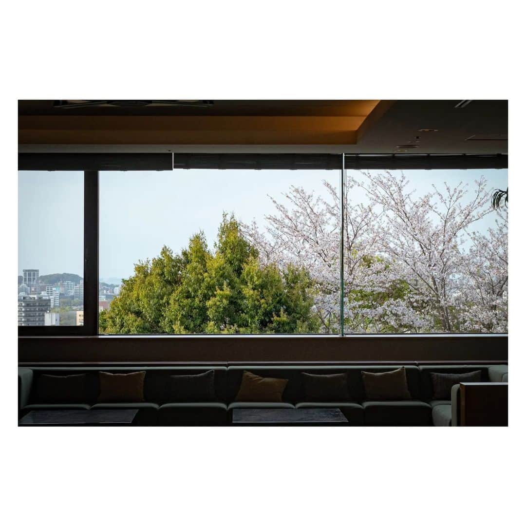 マスダヒロシさんのインスタグラム写真 - (マスダヒロシInstagram)「桜は街中の方が映える。都会のところどころに身勝手に咲いて人目集めたかと思うとさっさと散ってしまう。その傲慢さが良いのです。 . . .」4月3日 23時16分 - masudahiroshi