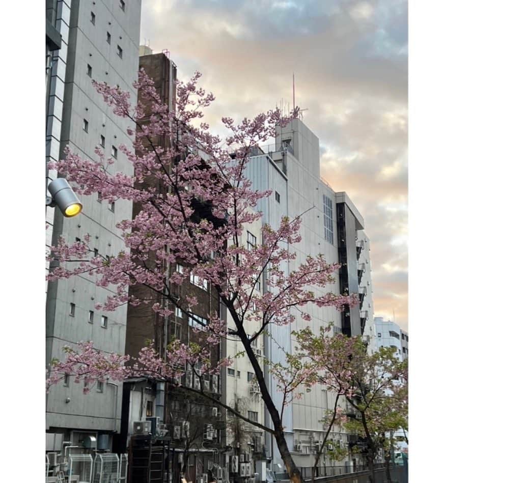 石川花のインスタグラム