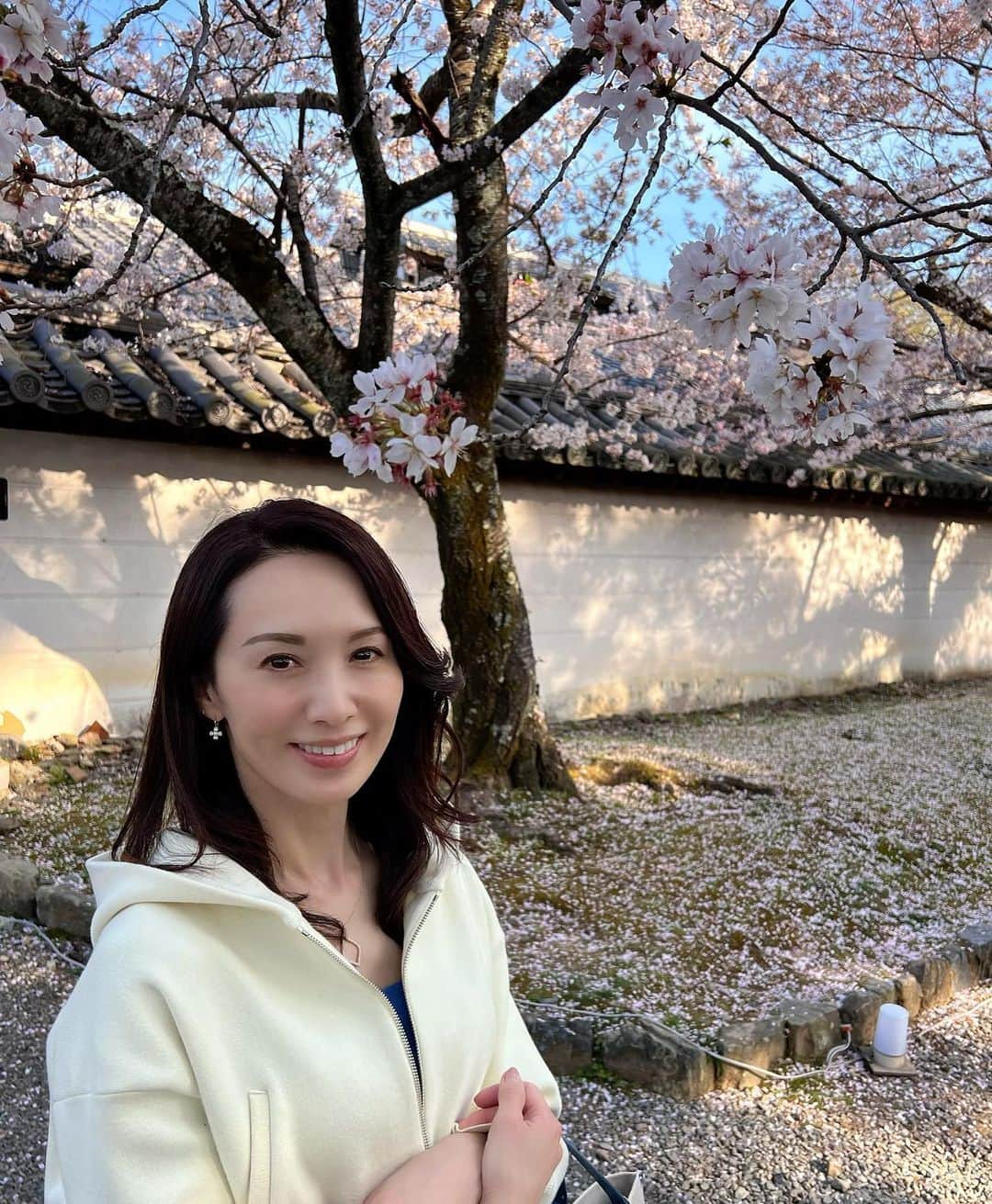 駒田奈美さんのインスタグラム写真 - (駒田奈美Instagram)「・ ・ ・ 『京都へ』 ・ ・ 桜を見に京都へ ・ ・ 醍醐寺は初めて… ・ 先週末はもう散り始めている桜の木も多かったので 桜吹雪も楽しめました ・ ・ また満開の時期に訪れたいな🌸 ・ ・ ・ #駒田奈美#モデル#アラフィフ#美魔女＃旅行#京都#桜#桜スポット #醍醐寺#桜吹雪#京都観光 #京都旅行 #お花見」4月3日 14時53分 - nami.komada