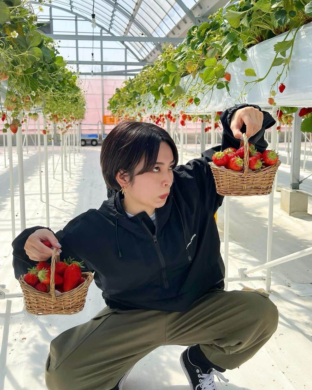 富久美玲のインスタグラム：「🍓」