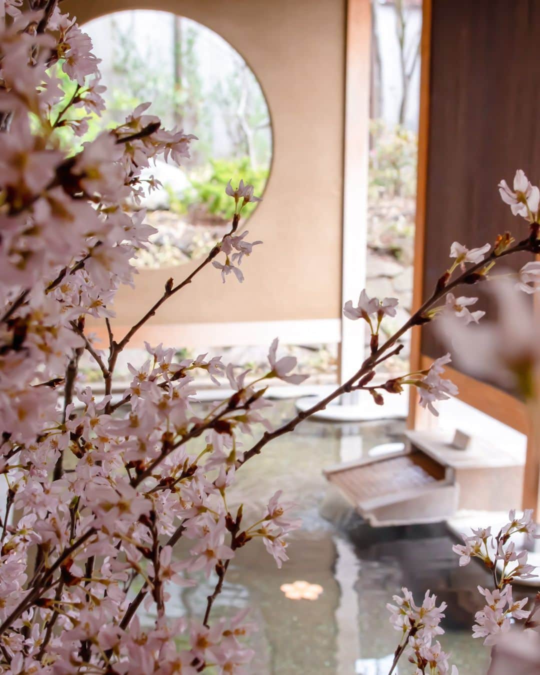 星野リゾート 界の若者旅さんのインスタグラム写真 - (星野リゾート 界の若者旅Instagram)「待ち焦がれた桜の季節。 全国の界21施設では3月26日から4月8日までの間、美しい桜の見ごろを逃さず満喫できる「界の花見温泉」をご提案します。 また、クラフトの町である界 松本では4月の間、檜を使用した桜型のチップを浮かべた大浴場でお客様をお迎えします。 咲き誇る桜と檜の香りで、春のくつろぎへと誘うひとときをお過ごしください。  From March 26 to April 8, we will propose "Hot spring for flower viewing with KAI," where you can fully enjoy the beautiful cherry blossoms without missing the best part of the season. In addition, during April, KAI Matsumoto, a craft town, will welcome guests in a large bath with floating cherry blossom-shaped chips made of hinoki cypress.  Please enjoy the moment when the blooming cherry blossoms and the scent of hinoki invite you to relax in spring.  #星野リゾート #界 #界松本 #長野 #浅間温泉 #温泉 #温泉旅館 #温泉旅行 #桜 #花見温泉 #クラフト #hoshinoresorts #kai #kaimatsumoto #Japantravel #hotsprings #onsen #ryokan #nagano #cherryblossoms #sakura #spring」4月3日 15時14分 - hoshinoresorts.kai