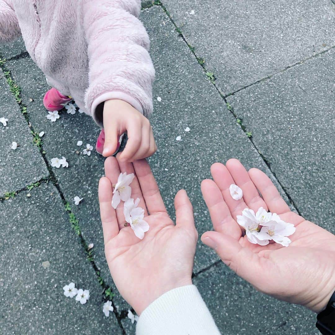 佐藤愛子のインスタグラム：「🌸  4月が始まりましたね。桜を拾って渡してくれました。なんとも嬉しい。  街でもフレッシュな人々をちらっと見かけました。新しいスタート、いいですね。  #桜 #4月 #🌸 #新生活」