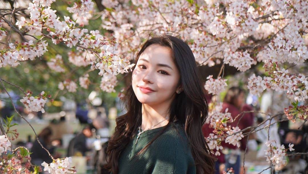 藤子さきのインスタグラム：「ずっとこの季節が続いて欲しい  📷Sony zv-e10  Lens:16-70mm F4  #sonyphotography #sonyzve10 #sakura #spring #cherryblossom #japan」