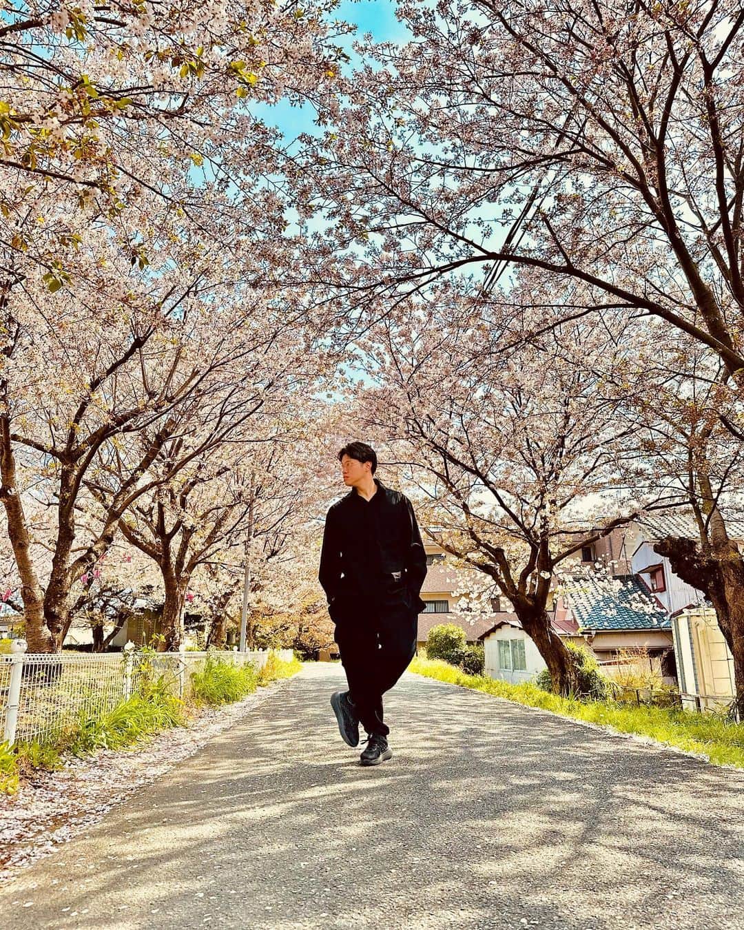 ゆーやさんのインスタグラム写真 - (ゆーやInstagram)「葉桜になってきましたね🌸  みんなは花見したかな？  僕はしてないです。😂  #桜#葉桜 #花見 #春」4月3日 16時23分 - yuyastyle