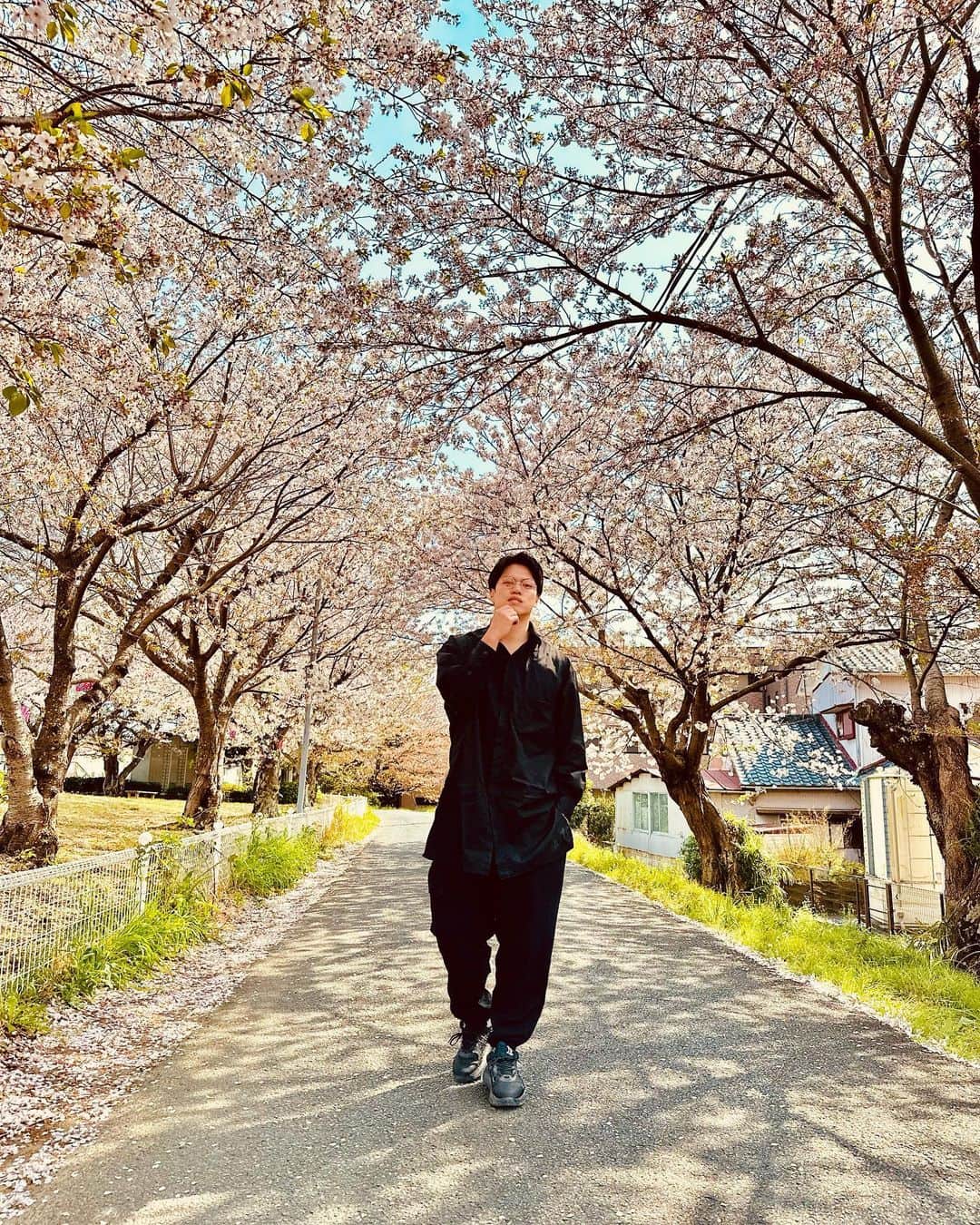 ゆーやさんのインスタグラム写真 - (ゆーやInstagram)「葉桜になってきましたね🌸  みんなは花見したかな？  僕はしてないです。😂  #桜#葉桜 #花見 #春」4月3日 16時23分 - yuyastyle