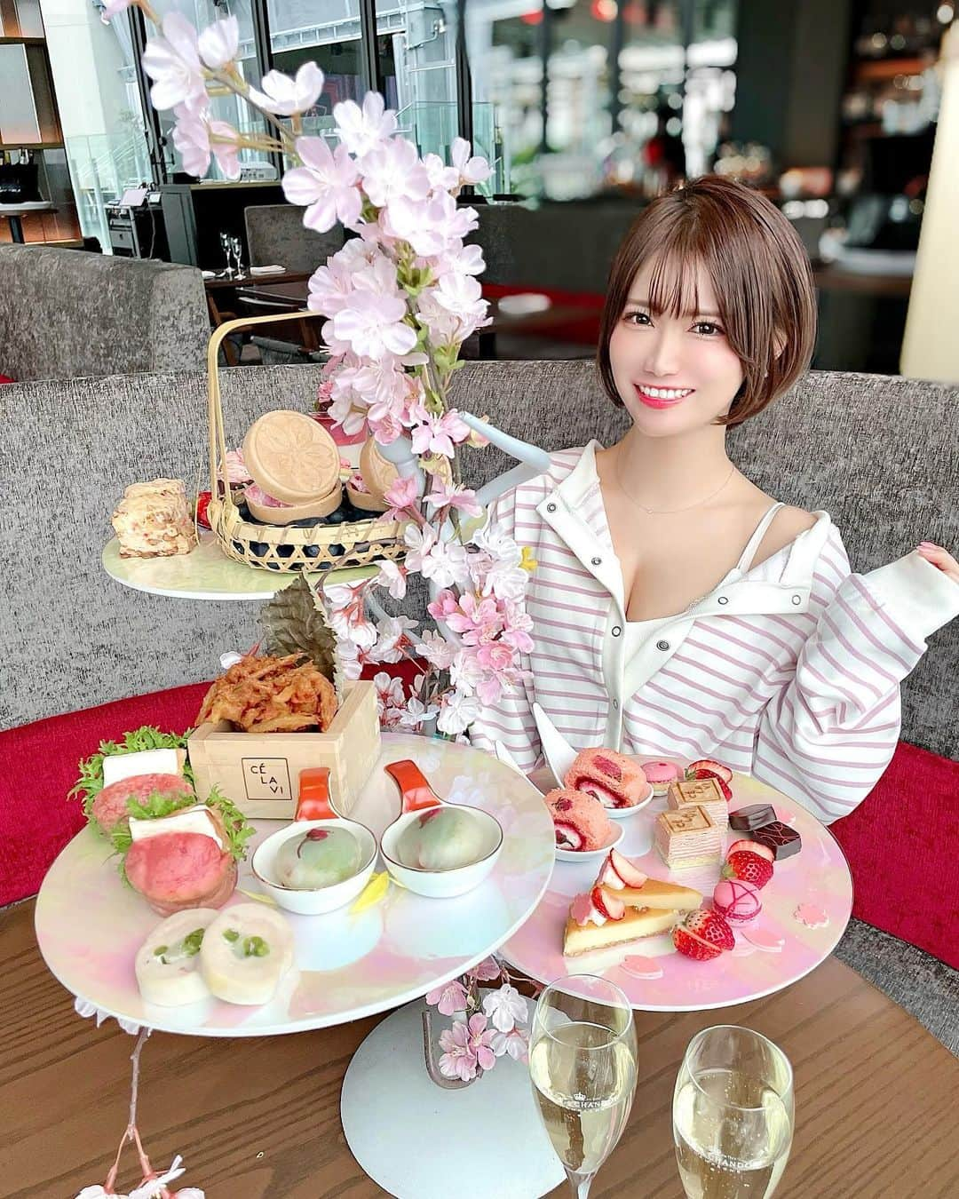 相良ましろのインスタグラム：「. 友達とセラヴィ東京で桜アフターヌーンティー😋🌸🌸 . 今まで行ったアフヌンの中で1番量がちょうどよくてお気に入り！！ 18階から渋谷の景色を一望しながらのティータイムが 優雅すぎていつまでも居られると思った〜🥺🫧🫖  セラヴィもセラヴィのアフヌンも大好きだから行けて超嬉しい✨️美味しかった🫶💗 . このアフヌンは4月10日までだから行ってみて！ 私も11日から新しいの始まるから行きたいな😍 . . . #セラヴィ東京 #セラヴィ #celavitokyo #アフターヌーンティー #アフヌン #桜 #桜アフターヌーンティー #渋谷ランチ #渋谷スイーツ #カフェ部 #都内カフェ」