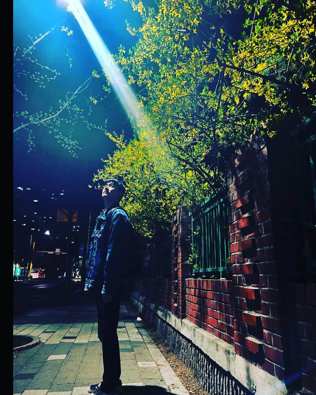 キム・ホチャンさんのインスタグラム写真 - (キム・ホチャンInstagram)「. . . 한국오니까 봄이 왔네~♡」4月3日 16時27分 - hochang_21