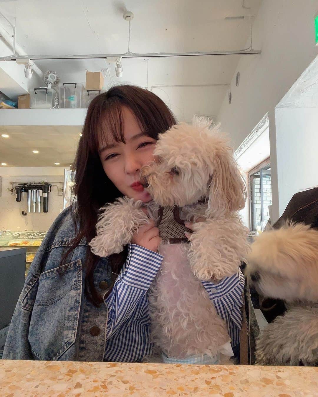 山田菜々のインスタグラム：「31歳になりました〜🎂💕  たくさんお祝いメッセージありがとうございます❣️ (DMは消えちゃうからよかったらこのコメントにもしてね🫶🏻)  いつも通りお誕生日迎えた10分後にはぐっすり寝ちゃったけど🙃 起きたらいっぱい連絡やコメントが来ていて嬉しかったです💝  今年もいっぱい笑える歳にします🌸  #happybirthday」