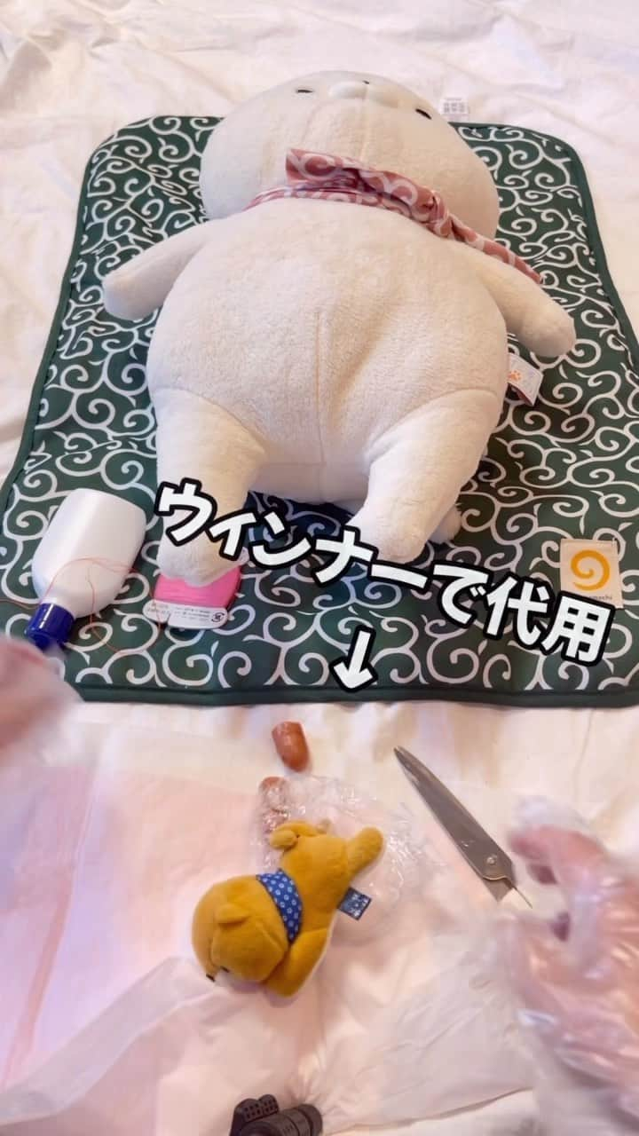 ヤンチャな豆柴『豆千代くん』の日常です?のインスタグラム