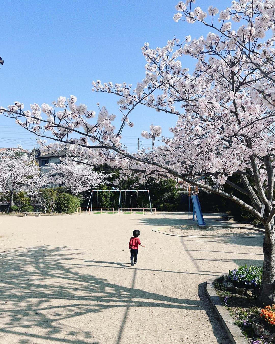sorayuchiのインスタグラム