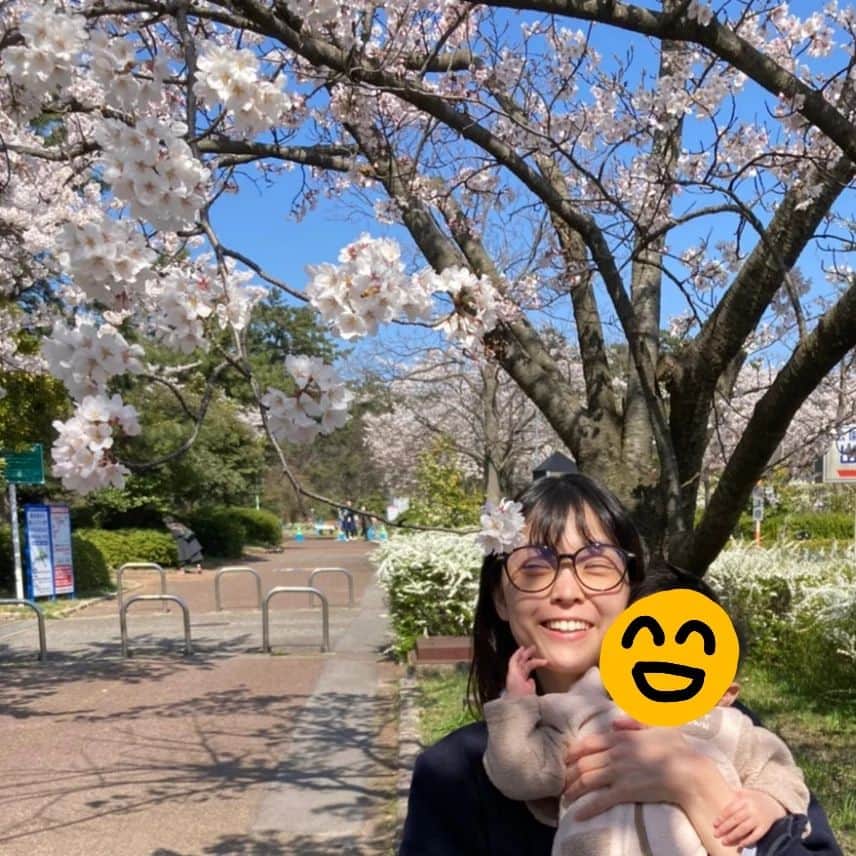 のインスタグラム：「今年はあちこちお花見に行っています😊🌸 #🌸 #桜 #お花見」