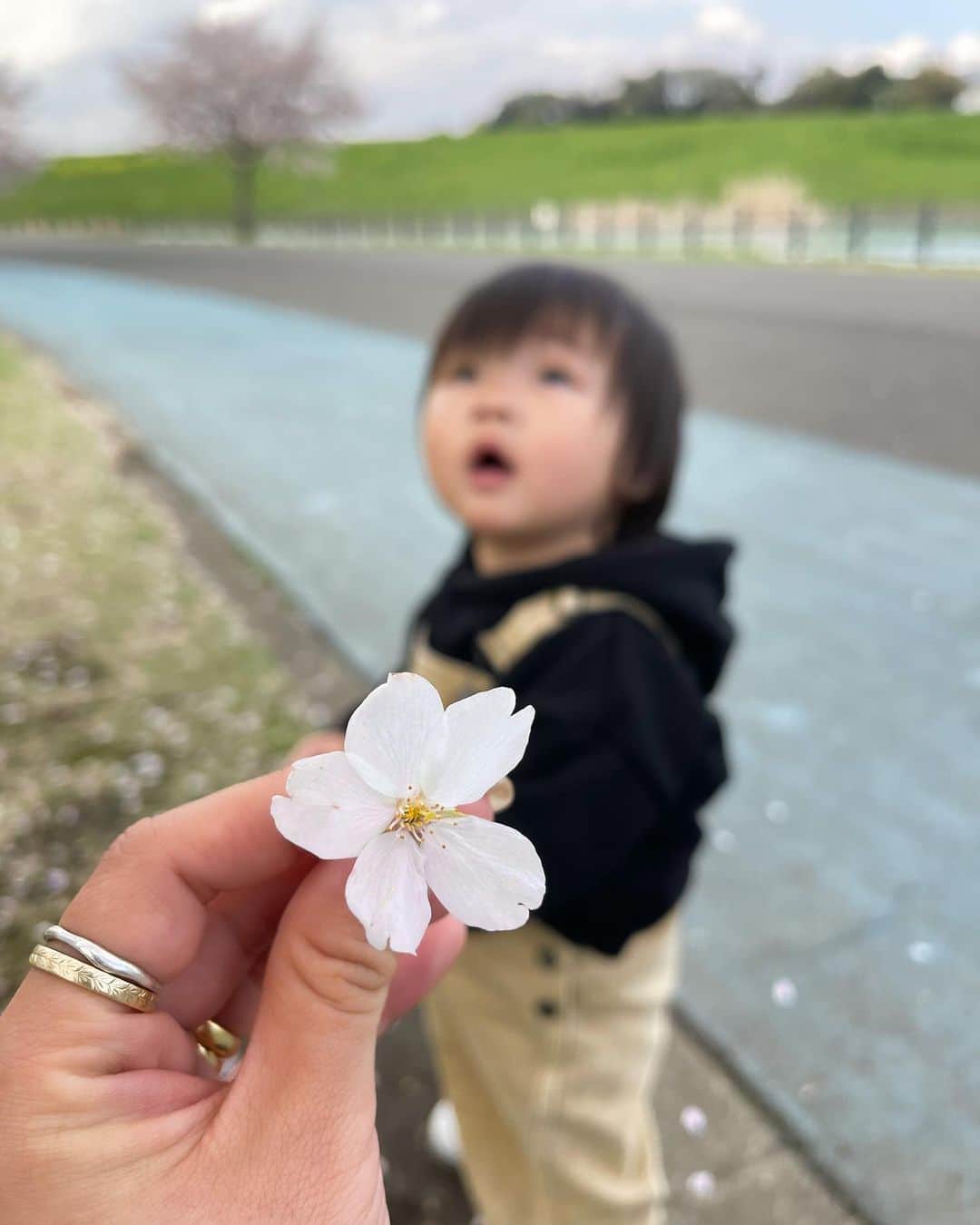 Rimiのインスタグラム：「入園式の人がたくさんでストーリー見ながら可愛い〜幸せと思う日々🌸 うちの子たちも保育園入れなきゃなと思いながら国の制度にモヤモヤしながらまだ入れられず毎日一緒で仲良く過ごしてるw  最近のノアは 🌸なんでも口に入れる 🌸興味が何にでもある。 🌸手を繋いで歩きたくても興味のが勝つから手を振り解こうとする 🌸なかなかハードな場所に登りたがる 🌸すぐ怪我するw今両ほっぺあざです。 🌸どんどん行きたい方向に突き進むwそろそろリード必要？w  でもとことん甘えん坊で、ママママって泣くノアが可愛くて仕方ない🤍  レアちゃんは 🌸たくさんニコニコするようになった 🌸構ってあげられない時間も多いから顔を見せるだけでたくさん笑う。ごめんね。 🌸おしゃべり上手になった。可愛い。 🌸おしゃぶりでねんねできるようになった 🌸いろんなことが泣き方で訴えてるのがわかるようになった 🌸ミルクも160飲めるようになった🍼  2人はできること日々日々増えていっていて親として幸せがいっぱい。 元気に成長してくれるのがほんとにありがたいです🤍 寝るタイミングもうまくなってきて、少しずつ夫婦時間も増えてきた🤍 こうやって一緒に成長するんだなあ。 これからもみんなで仲良く過ごそうね🤍  #baby#babyboy#babyfashion#babyclothes#clothes#fashion#cordinate#family#familyphoto#photo#赤ちゃん#男の子ベビー#女の子ベビー#男の子コーデ#男の子ママ#女の子ママ#兄妹#年子ママ#年子#1歳#0歳#成長記録#赤ちゃんのいる生活#親子コーデ#家族写真#家族の思い出」