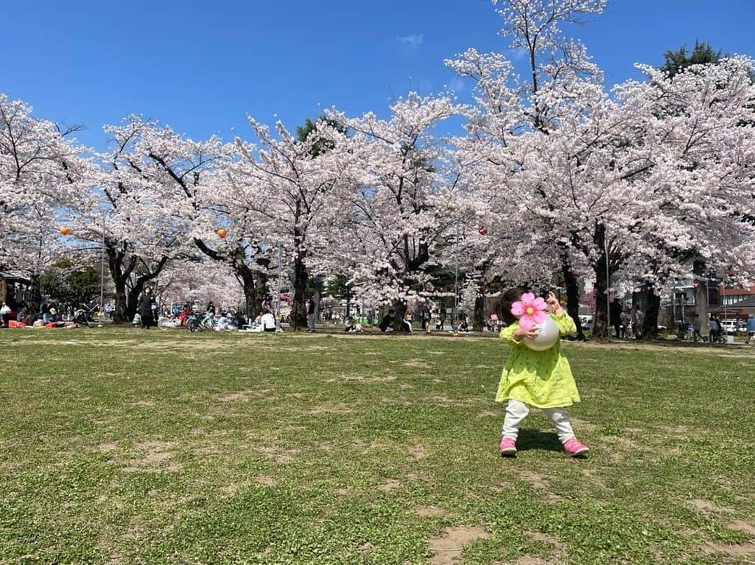 佐藤のぞみのインスタグラム：「満開〜🌸✨  そして私ついにスギ花粉きた模様💦 先週あたりからとまらない🤧😱😱  #仙台 #桜満開 #🌸」
