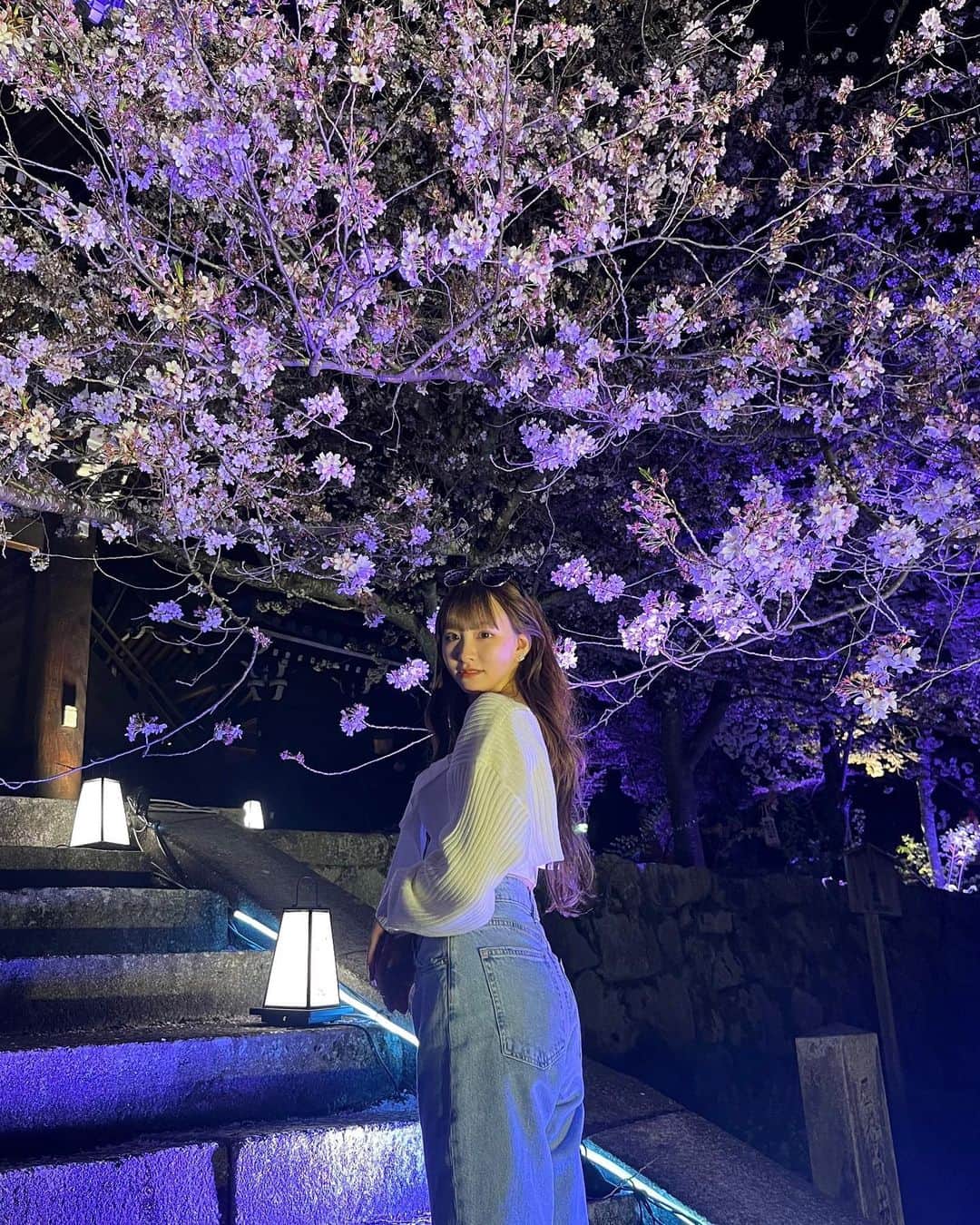 畑中萌衣のインスタグラム：「京都の夜桜🩶」