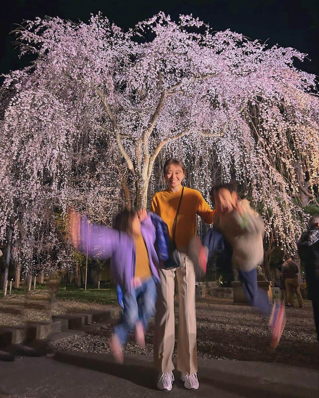 中川知香のインスタグラム：「🌸 高田公園の夜桜！とーっても久しぶりに観に行けました。桜に無関心でとにかく遊びたがる甥っ子と姪っ子。  #中川知香」