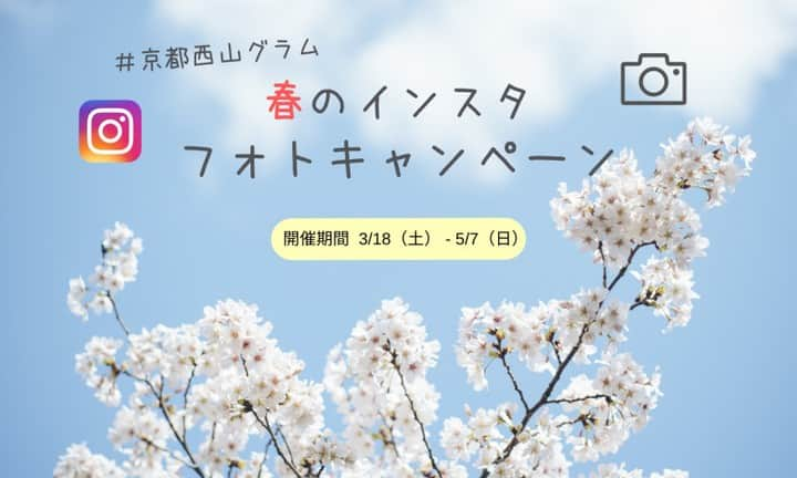 City of Kyoto Official Accountさんのインスタグラム写真 - (City of Kyoto Official AccountInstagram)「📷#京都西山グラム 春のインスタキャンペーン2023🌸   ①大原野保勝会のInstagramアカウント（@oharanohoshokai ）をフォロー ②「寺社」や「飲食店」などのキャンペーン対象スポットで素敵な写真を撮影 ③指定のハッシュタグを付けてInstagramに投稿  応募者の中から、花手水発祥の柳谷観音楊谷寺の「年間入山券」を抽選で８名様にプレゼント！   ▼詳細はこちら https://totteoki.kyoto.travel/events/8862/」4月3日 17時57分 - visit_kyoto