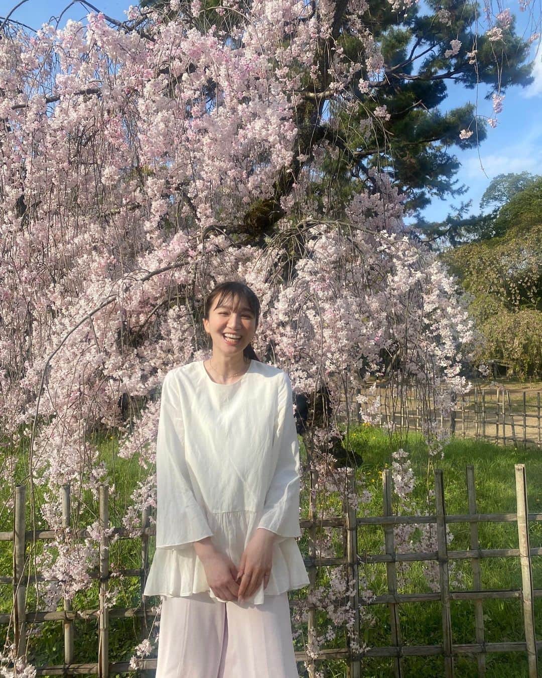 芹那さんのインスタグラム写真 - (芹那Instagram)「お花見🌸 食パン焼いて 苺ジャム🍓も作った😚💓 桜の下で 食パンカットするの なんだかいい感じだった😆 気付いたら ジャムの中に桜の花びら入っていて 可愛かった💗  ４月startだね❣️ この春何か新しく始まることあるかなぁ❔  私は富士山登る計画が開始された😙👏🏻去年から登ろうって話していたんだあ❣️ 富士山登るにあたって、 いろんな情報集めちゅう☺️ さっきもストーリーズで 質問したんだあ🤗 お答えくださってありがとう💕 まだまだお待ちしています🥳  富士山登ったことある方いますか❔  #お花見 #お花見スポット #お花見弁当 #お花見コーデ #お花見デート #お花見ピクニック #お花見散歩 #登山 #登山女子 #登山初心者 #登山好きな人と繋がりたい #富士山 #富士山登山 #富士山が好きな人と繋がりたい #山登り #山登り好きな人と繋がりたい #山登り初心者」4月3日 18時00分 - serinaofficial