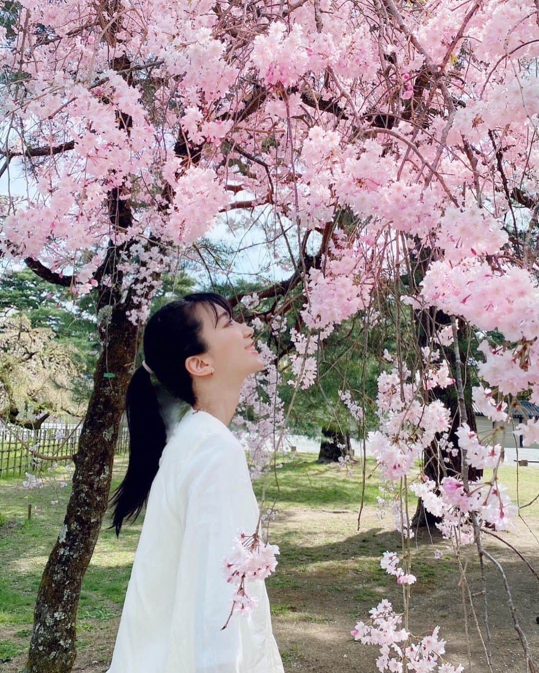 芹那さんのインスタグラム写真 - (芹那Instagram)「お花見🌸 食パン焼いて 苺ジャム🍓も作った😚💓 桜の下で 食パンカットするの なんだかいい感じだった😆 気付いたら ジャムの中に桜の花びら入っていて 可愛かった💗  ４月startだね❣️ この春何か新しく始まることあるかなぁ❔  私は富士山登る計画が開始された😙👏🏻去年から登ろうって話していたんだあ❣️ 富士山登るにあたって、 いろんな情報集めちゅう☺️ さっきもストーリーズで 質問したんだあ🤗 お答えくださってありがとう💕 まだまだお待ちしています🥳  富士山登ったことある方いますか❔  #お花見 #お花見スポット #お花見弁当 #お花見コーデ #お花見デート #お花見ピクニック #お花見散歩 #登山 #登山女子 #登山初心者 #登山好きな人と繋がりたい #富士山 #富士山登山 #富士山が好きな人と繋がりたい #山登り #山登り好きな人と繋がりたい #山登り初心者」4月3日 18時00分 - serinaofficial