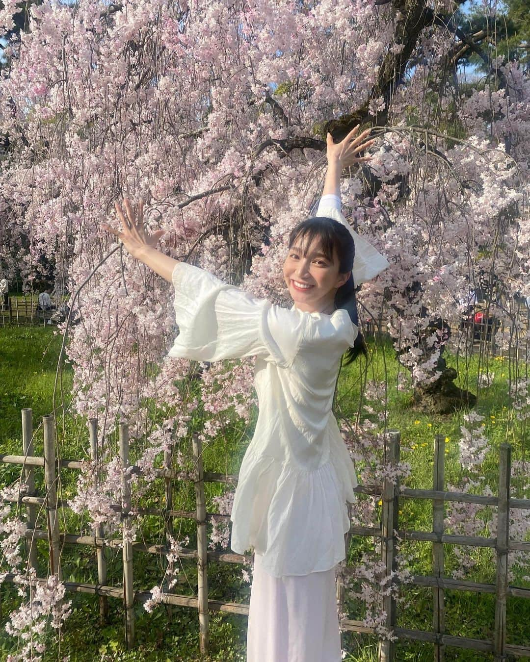 芹那のインスタグラム：「お花見🌸 食パン焼いて 苺ジャム🍓も作った😚💓 桜の下で 食パンカットするの なんだかいい感じだった😆 気付いたら ジャムの中に桜の花びら入っていて 可愛かった💗  ４月startだね❣️ この春何か新しく始まることあるかなぁ❔  私は富士山登る計画が開始された😙👏🏻去年から登ろうって話していたんだあ❣️ 富士山登るにあたって、 いろんな情報集めちゅう☺️ さっきもストーリーズで 質問したんだあ🤗 お答えくださってありがとう💕 まだまだお待ちしています🥳  富士山登ったことある方いますか❔  #お花見 #お花見スポット #お花見弁当 #お花見コーデ #お花見デート #お花見ピクニック #お花見散歩 #登山 #登山女子 #登山初心者 #登山好きな人と繋がりたい #富士山 #富士山登山 #富士山が好きな人と繋がりたい #山登り #山登り好きな人と繋がりたい #山登り初心者」