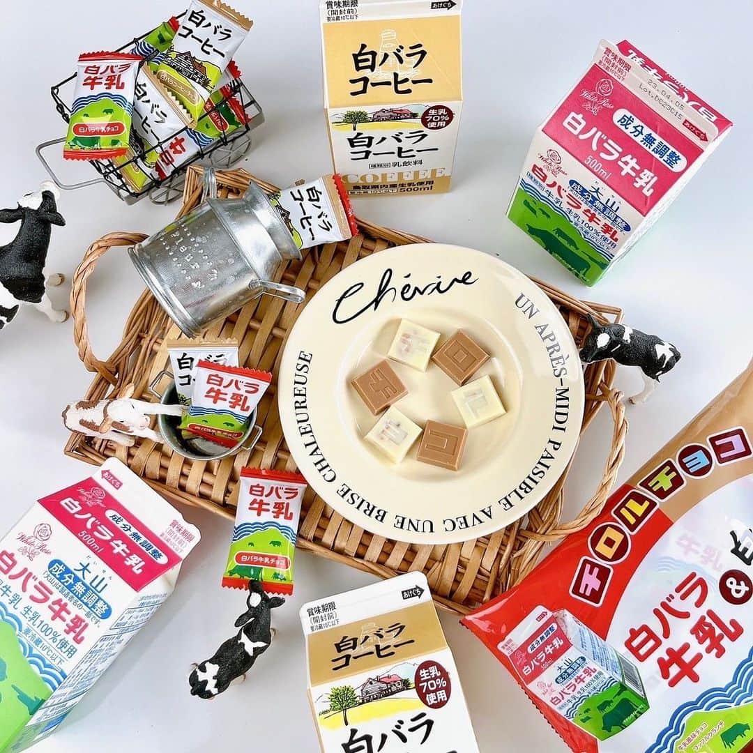 チロルチョコのインスタグラム：「🥛 ／  #新商品 情報⋆͛📢⋆ マックスバリュ西日本・フジで発売🛒 ＼  鳥取県のソウルドリンクとコラボ🤝✨ チロルチョコの "白バラ牛乳＆白バラコーヒー"のご紹介です🥛  ┈┈┈┈┈┈┈┈┈┈ 『白バラ牛乳』・『白バラコーヒー』とコラボ‼️ ┈┈┈┈┈┈┈┈┈┈ 大山乳業農業協同組合の『白バラ牛乳』は鳥取県内全ての小・中学校で学校給食として採用されています🙋‍♀️ 50年以上前から親しまれてきた鳥取の#ソウルドリンク です👍🏻 ̖́-‬  また『白バラコーヒー』は地域によってはなかなか出会えないため "幻のコーヒー”とも呼ばれています👀💡  生乳本来の甘みや、素材本来の自然な美味しさをチロルチョコで再現しました❕  シンプルながらも、こだわりのある2品のアソートです😗👍🏻✨  通常のハーフサイズで食べやすいチロルチョコは大人数でシェアもしやすい大袋タイプ🫶  気になるフレーバーは？︎︎︎︎☑︎ ▫️白バラ牛乳 まろやかな甘みの牛乳風味チョコと相性の良いサクサク食感のワッフルクランチを合わせました🥛 牛乳風味チョコには、白バラ牛乳のフリーズドライパウダーを使用しています🏳️  ▫️白バラコーヒー カフェ・オ・レ風味のチョコでクリームを包みました。 コーヒーの香りと甘みやコクが楽しめます😌 カフェ・オ・レ風味クリームには、白バラコーヒーそのものを使用しています☕️  チョコレートの天面には「チ」「ロ」「ル」「チ」「ョ」「コ」の文字入り♪ ※ランダムでの封入となります。  ぜひお試しください🗾✨  ■発売日 2023年4月3日 マックスバリュ西日本・フジで発売🛒𓈒𓂂𓏸  ※お取り扱いのない店舗もあります。 また、商品がなくなり次第、販売終了とさせて頂きます。  🗣💬 商品に関するご質問については、チロルチョコ公式HPお客様お問い合わせまでご連絡くださいませ🙇  ━━━━━━━━━━━━━━━  #tirol #tirolchoco #チロルチョコ #チロル #チョコレート #おやつタイム #chocolate  #おうちカフェ #おやつの時間  #chocolatelover  #shopチロルチョコ #鳥取 #コラボ商品#白バラ牛乳 #白バラコーヒー ━━━━━━━━━━━━━━━」