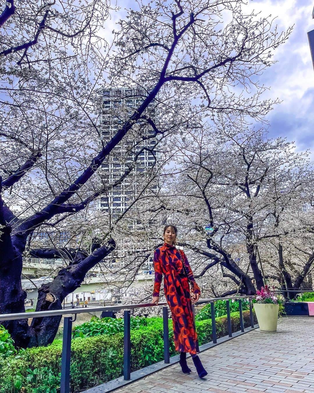 菅井悦子さんのインスタグラム写真 - (菅井悦子Instagram)「毎年思う。今年も見れて良かったな、と。 今年は外国人観光客も増え、桜の前で記念撮影している姿を嬉しい気持ちで眺めていました🌸  この時期って特別な感じがするよね。 日本人でもそう思います。  楽しんで新年度を迎えましょう！  #🌸#桜#cherryblossom  #spring#fashion#instagood  #instafashion #dress #boots」4月3日 18時12分 - etsuko313
