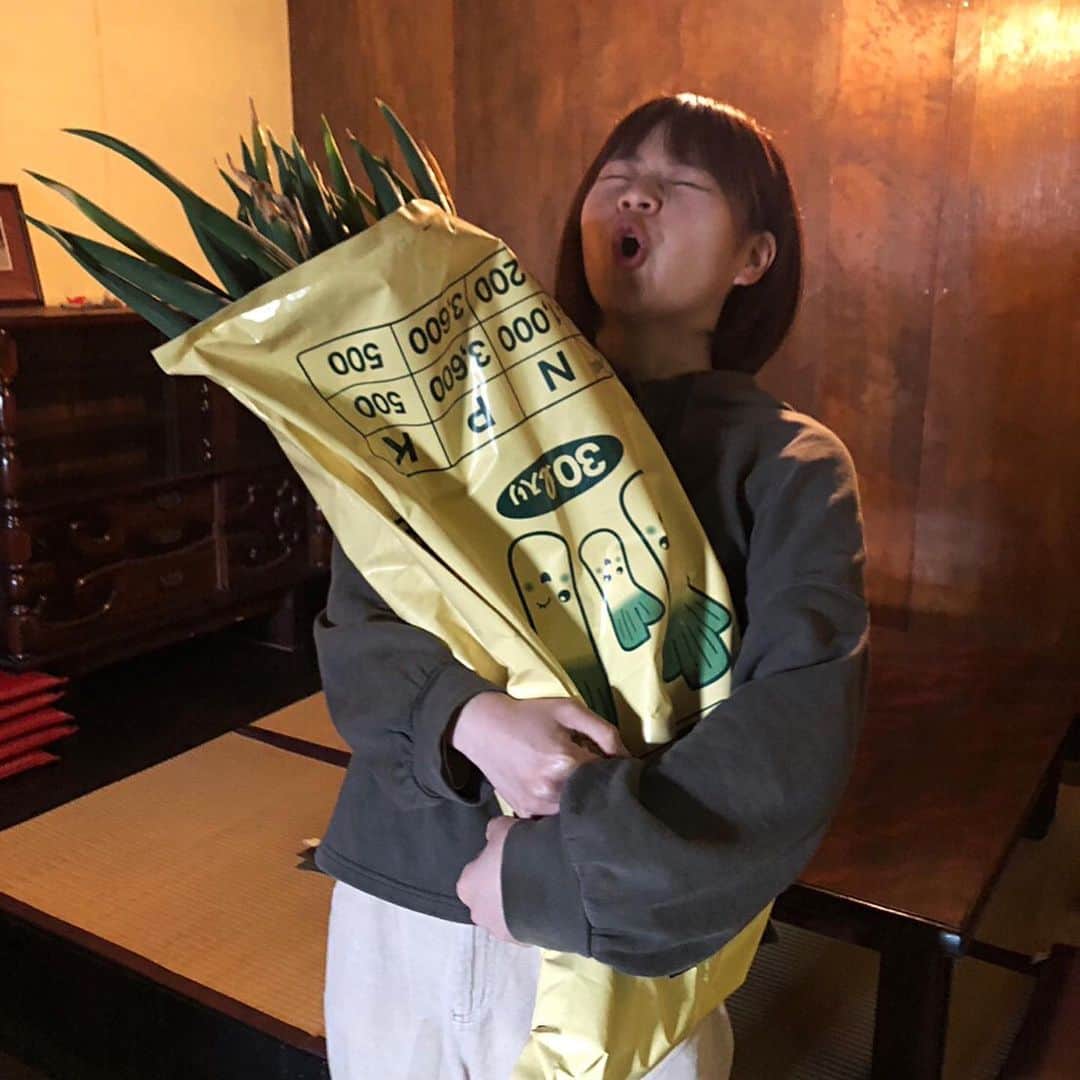 櫻井里花のインスタグラム：「ガス屋のあんちゃんさんが 立派なねぎをたくさんくれた！ やたー！ ねぎまつりじゃあああああああ🍚」
