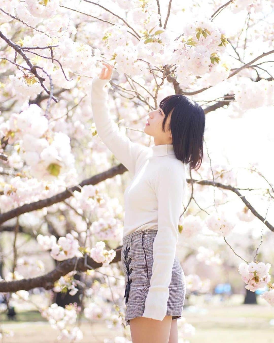 村上りいなさんのインスタグラム写真 - (村上りいなInstagram)「I saw cherry blossoms at Shinjuku Gyoen. *:.｡.   #japan #sakura #shinjuku #桜 #新宿御苑」4月3日 18時23分 - riina_murakami