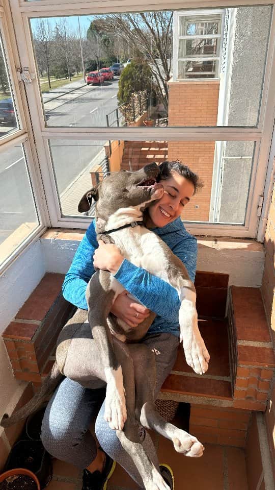 キャロリーナ・マリンのインスタグラム：「💔🙏🐶」