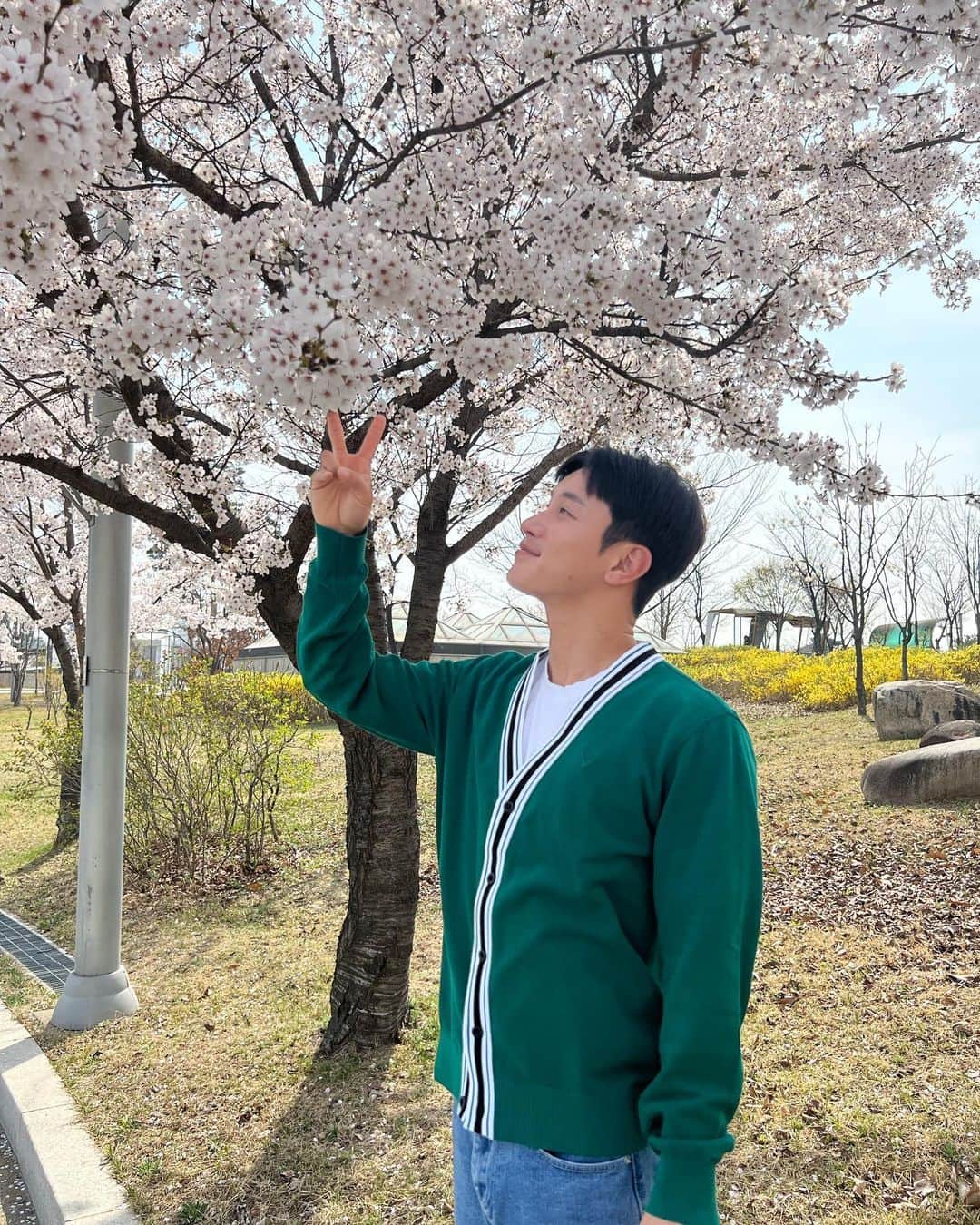 Lee Si-gangさんのインスタグラム写真 - (Lee Si-gangInstagram)「아이고.. 참..해맑네...😅🤣 (한국드러와서 벚꽃 보고,다시출국✈️)  가디건 골프복인데 너무 이뻐서 입고옴💚 @callawayapparel_korea   日本の皆さんいよいよ東京に来ました💚 明日来る人コメントしてみて💚」4月3日 18時31分 - lee_si_kang